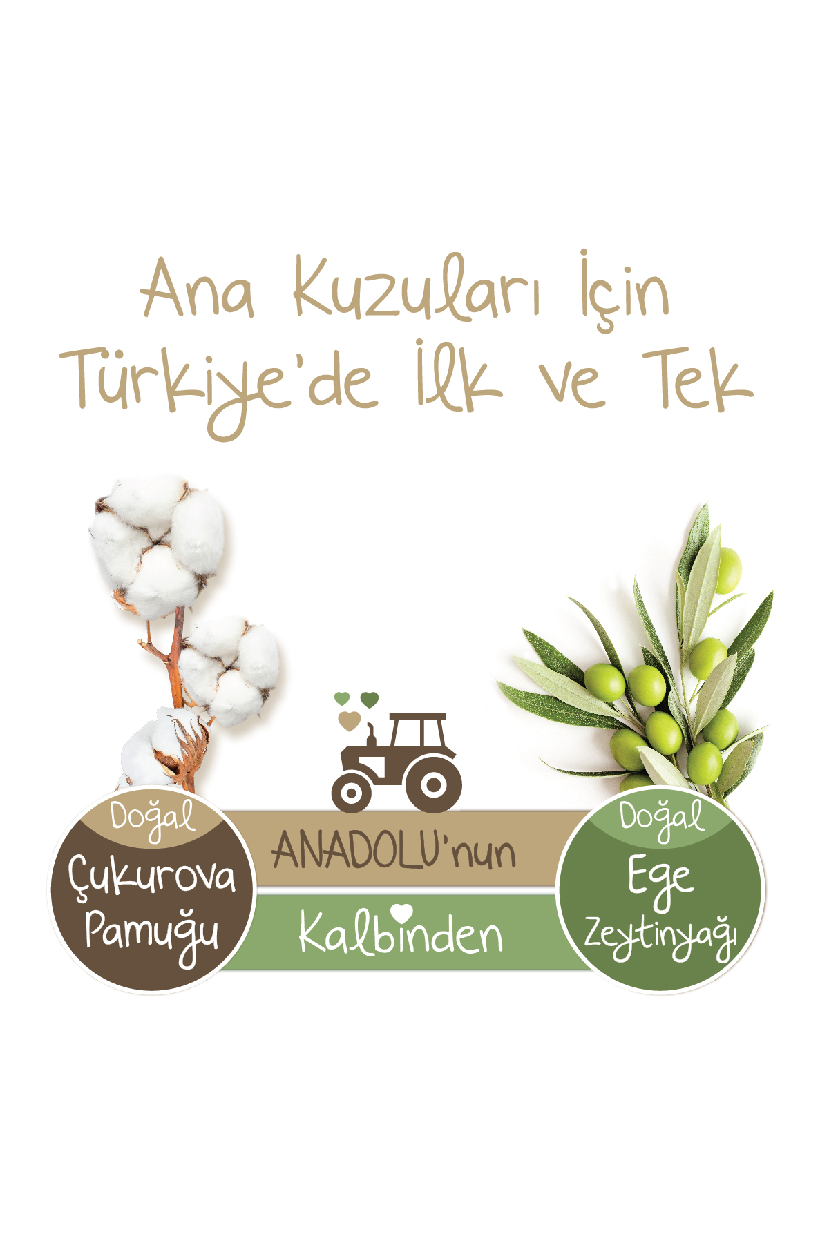 Baby Turco Doğadan 2'li Fırsat Paketi Külot Bez 4 Numara Maxi 82 Adet fotoğrafı 6 (önizleme)