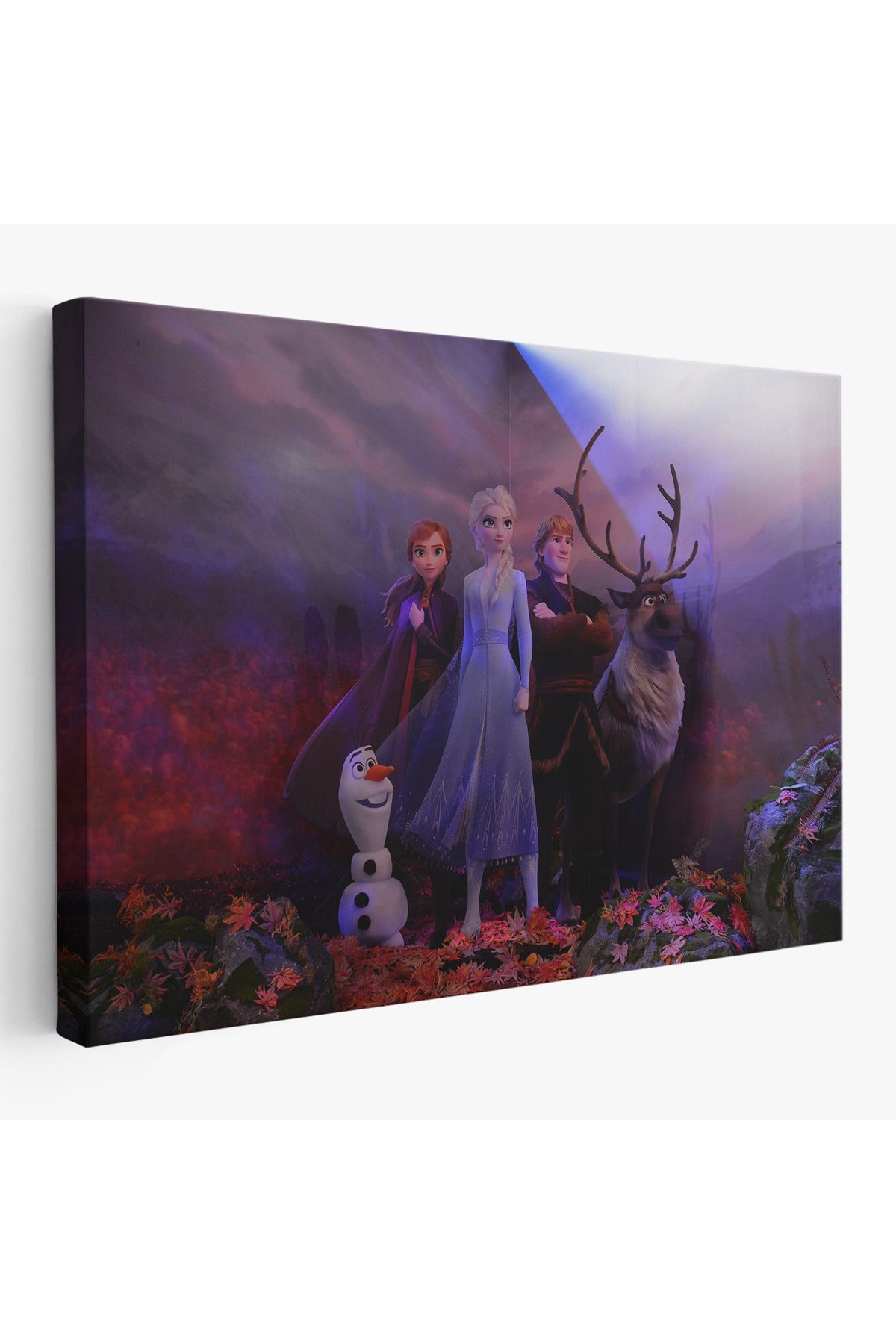 Jusoon Disney Animation Frozen 2 Karakterleri Dekoratif Tablo-3685