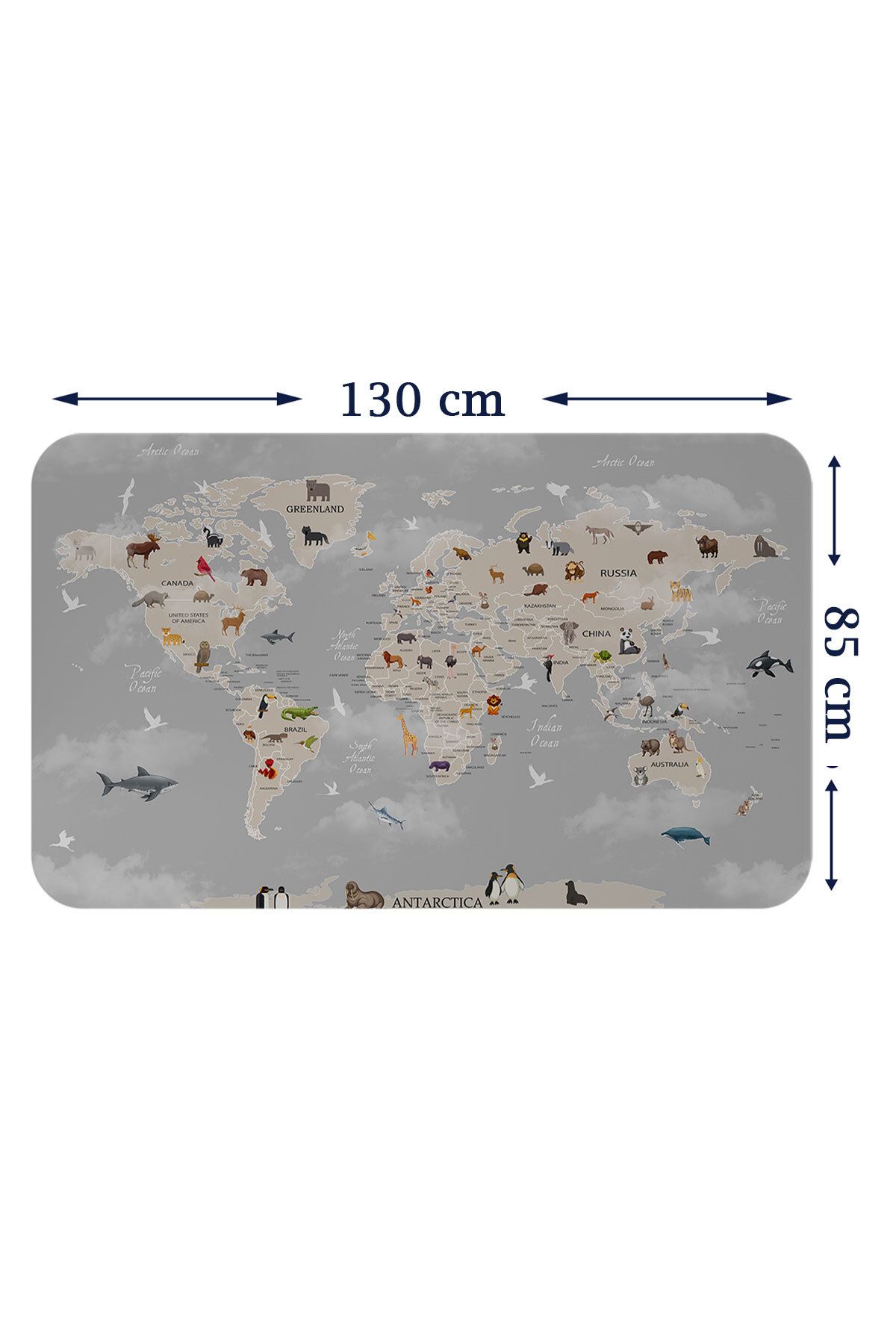 Haye Collection Eğitici Dünya Haritası Dünya Atlası Çocuk ve Bebek Odası Duvar Sticker-85x130-3793