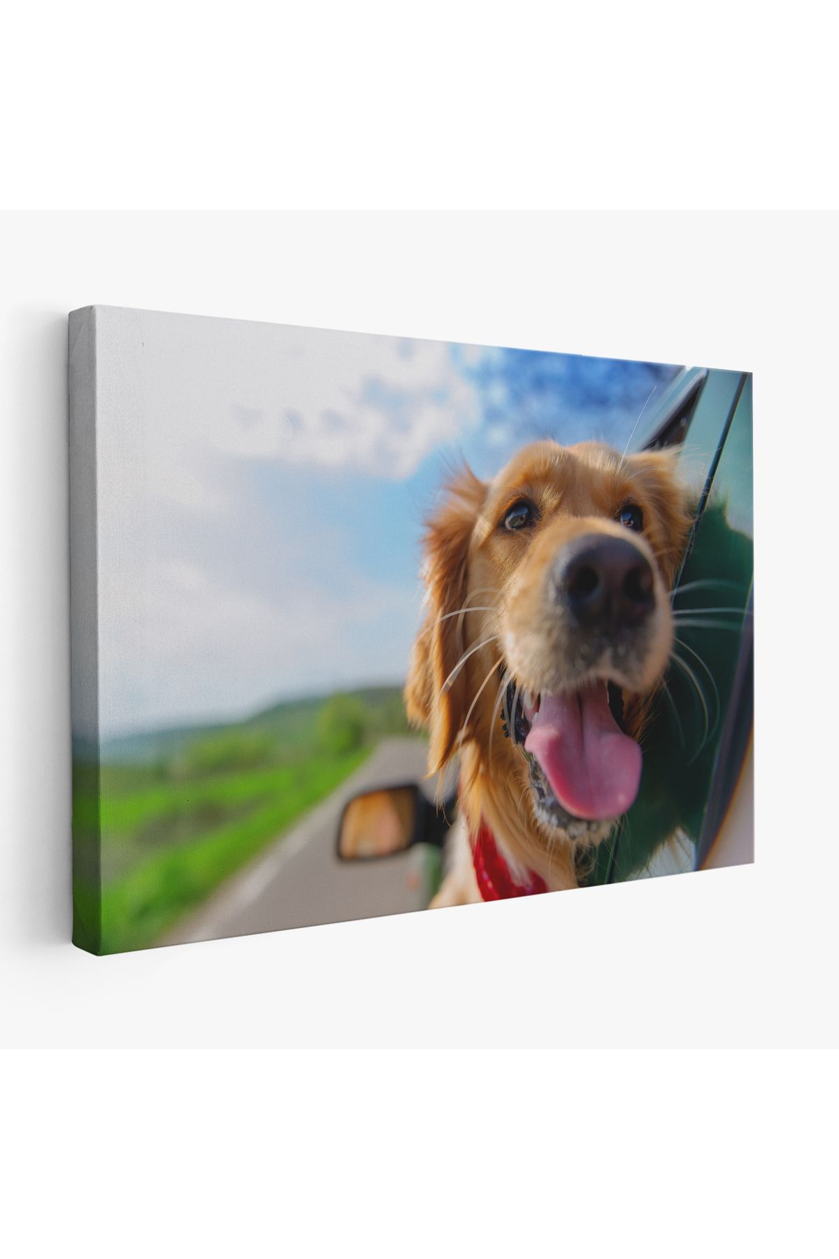Shoprit Köpek Dekoratif Kanvas Tablo 1130