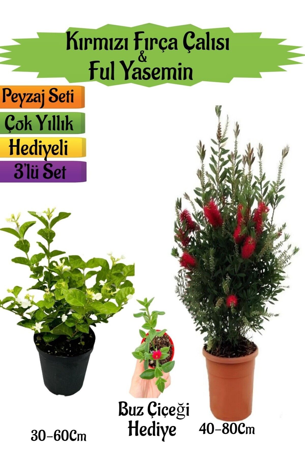 serada decor plant Kırmızı Fırça Çalısı+Kokulu Ful Yasemin+Buz Çiçeği Hediyeli Peyzaj Seti