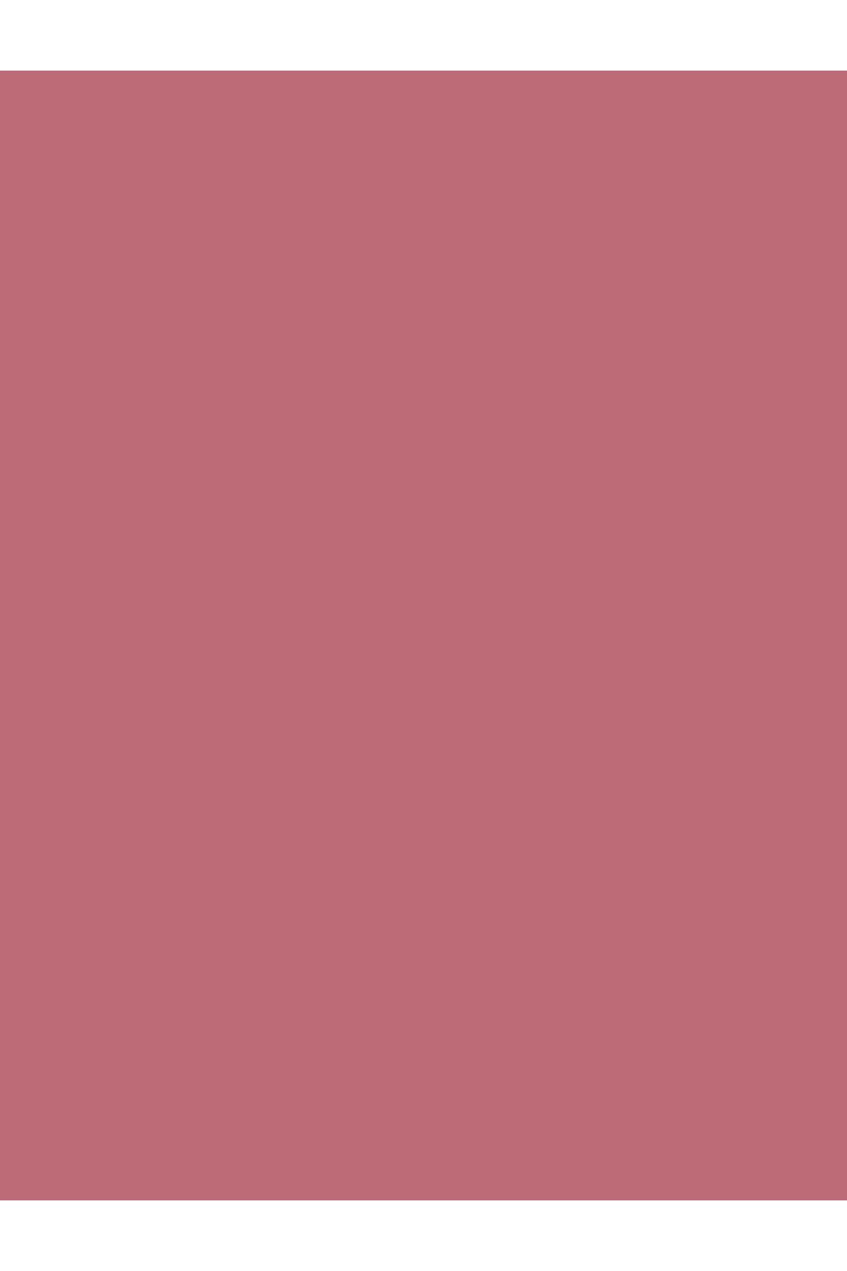 beaulis-Fun Sweet Talk Blur Lipstick Lipstick - 649 Baby Pink 2