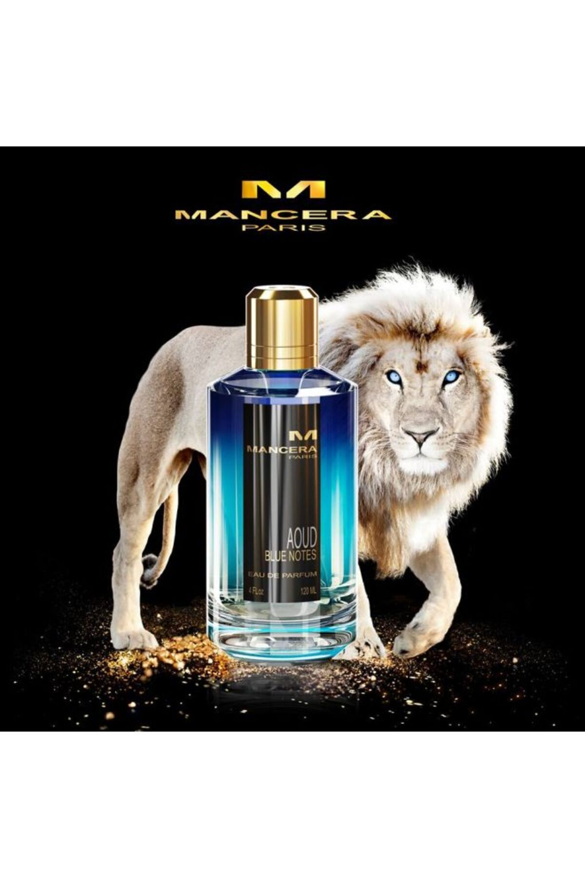 Mancera-Aoud Blue Notes EDP 120ml 4
