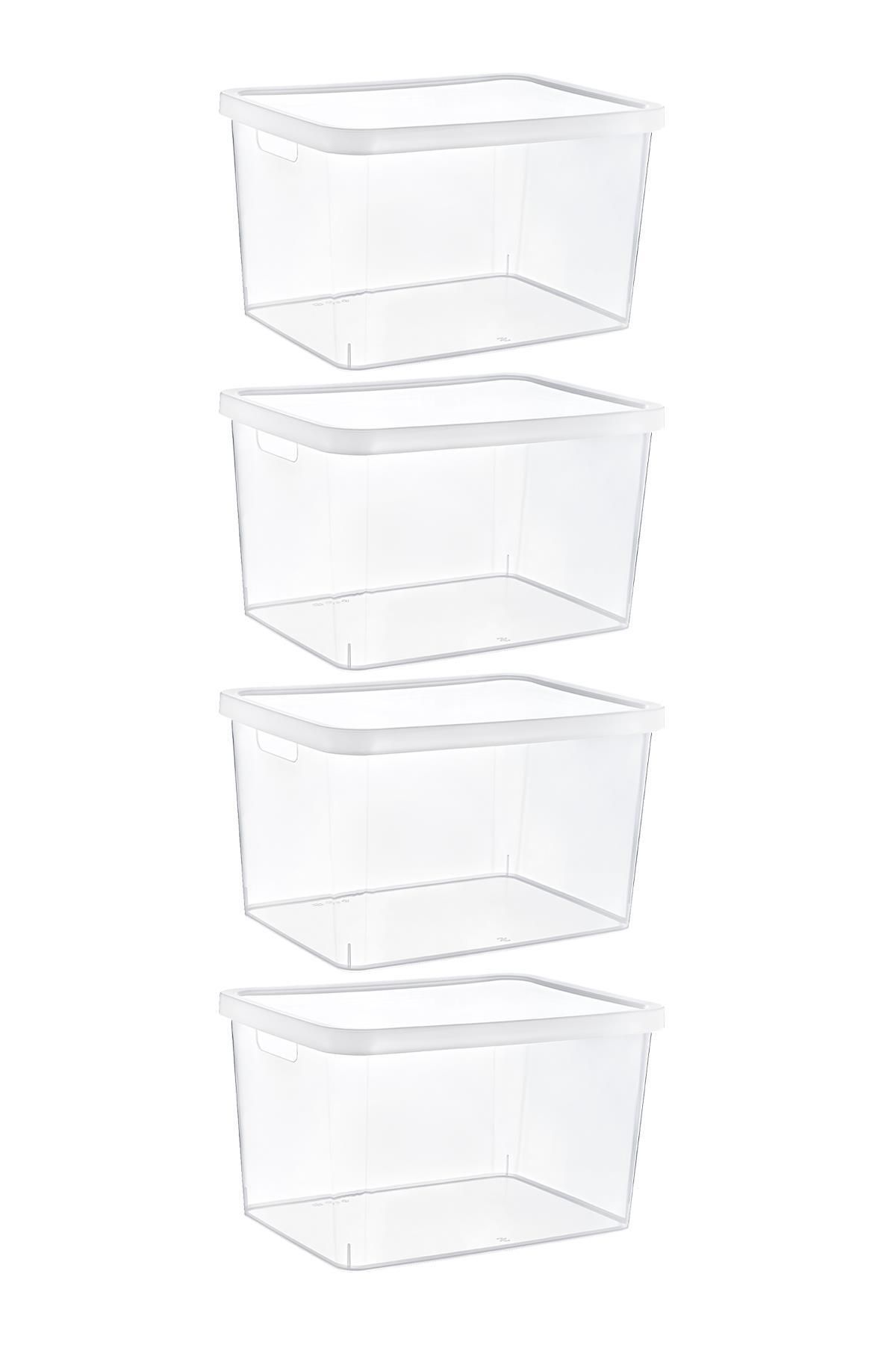 Smartware-Stafi Box with Transparent Lid - Set of 4, 18 Lt, Multi-Purpose 2