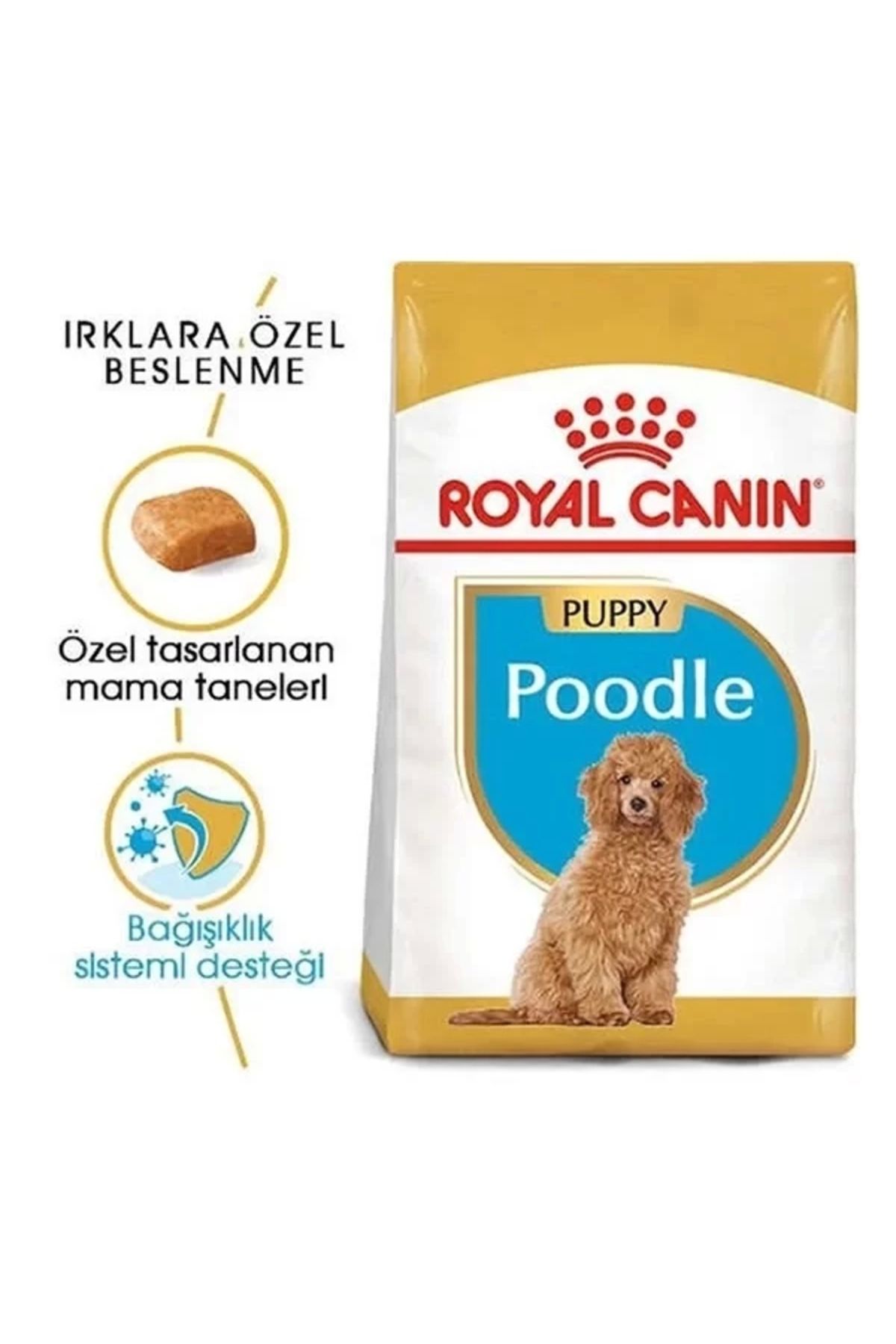 Royal Canin-Poodle Junior Puppy Food 3 kg 3