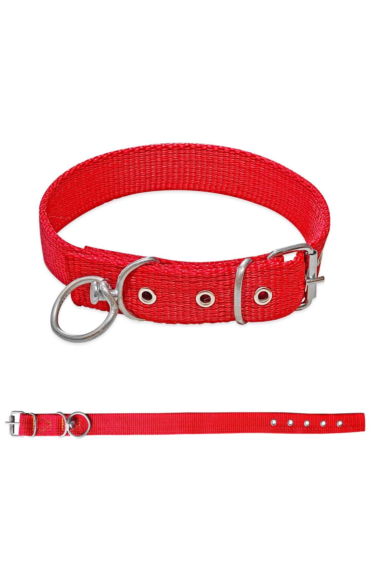 SAVEX Dokuma Köpek Boyun Tasması Kırmızı 4*70 cm