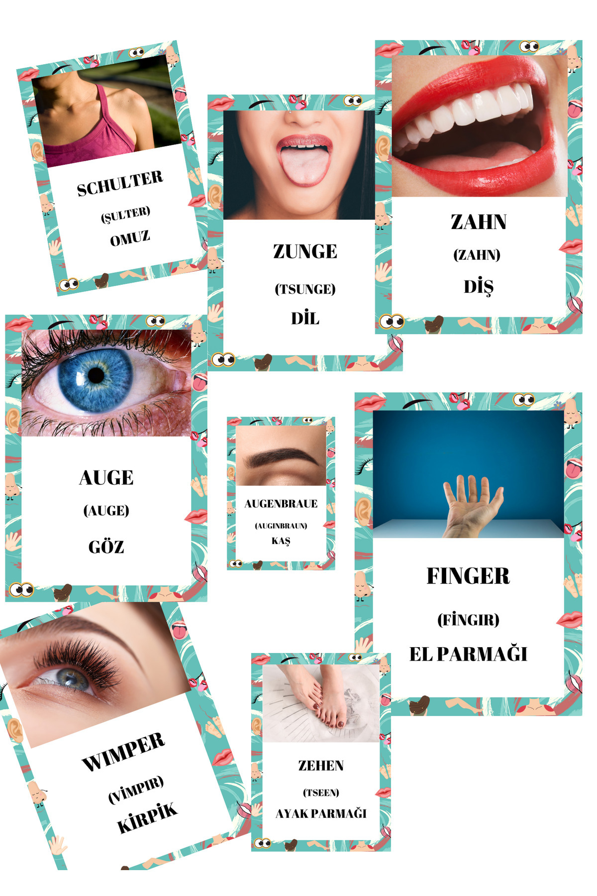 Baby Almanca Vücudumuz Eğitim Seti Flash Kartları fotoğrafı 2 (önizleme)