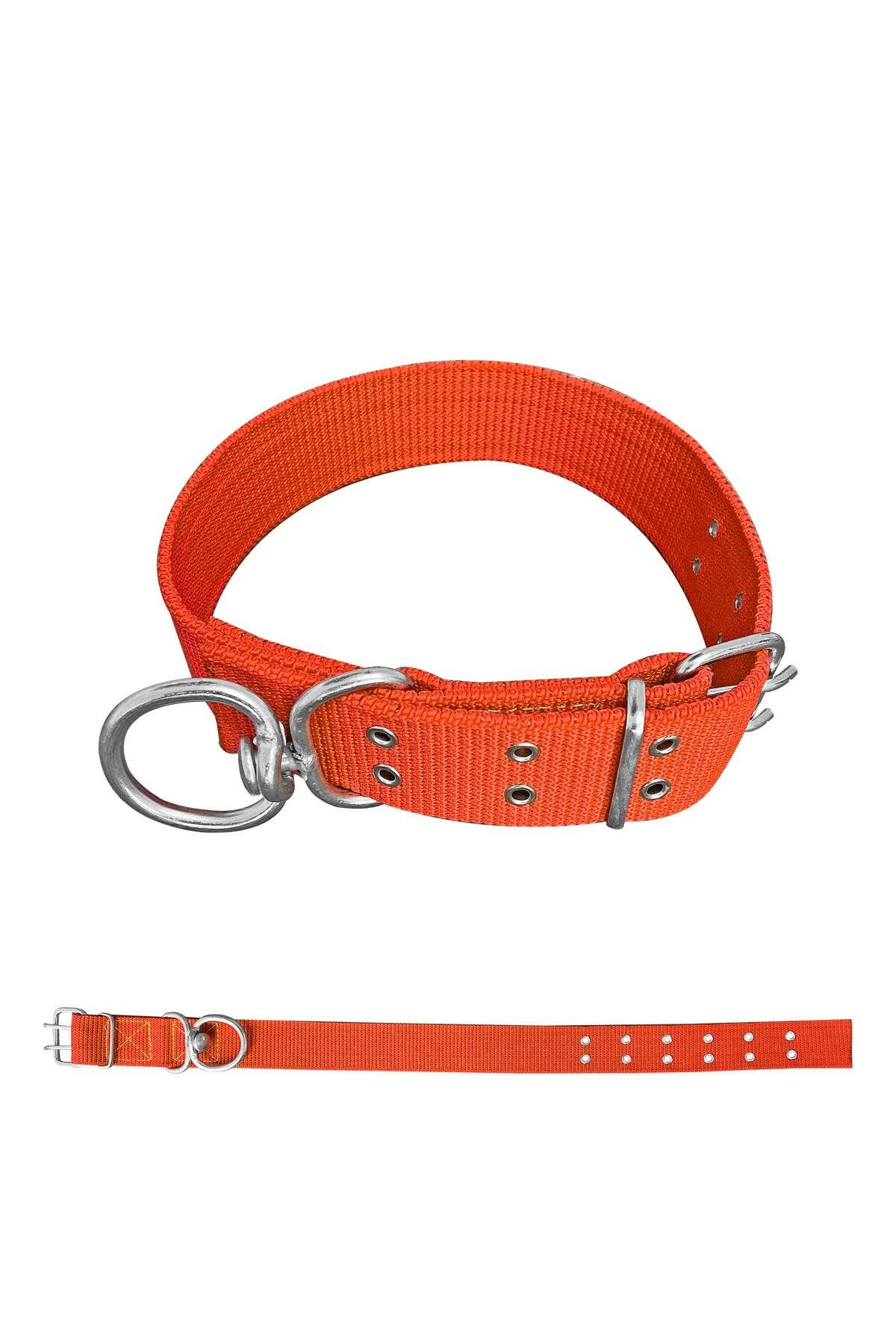 SAVEX Dokuma Köpek Boyun Tasması Turuncu 5*80 cm