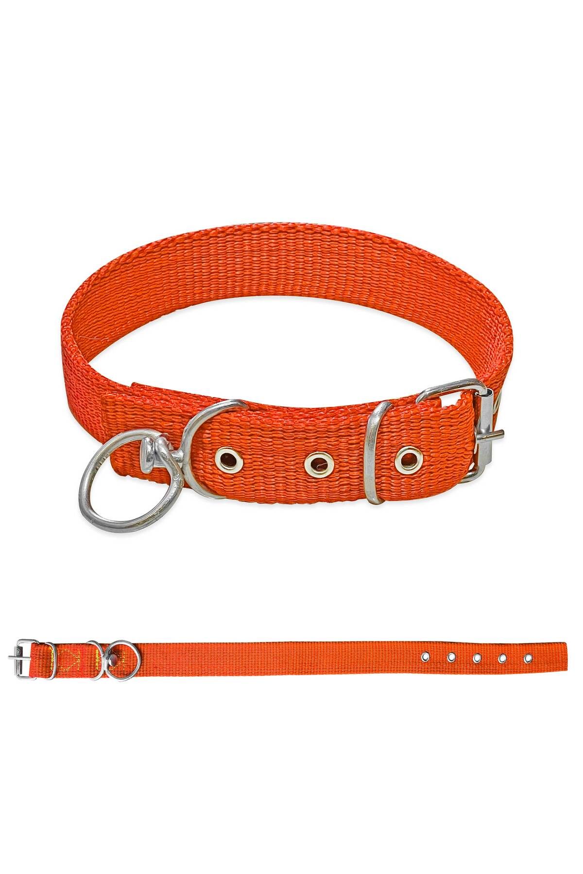 SAVEX Dokuma Köpek Boyun Tasması Turuncu 4*70 cm