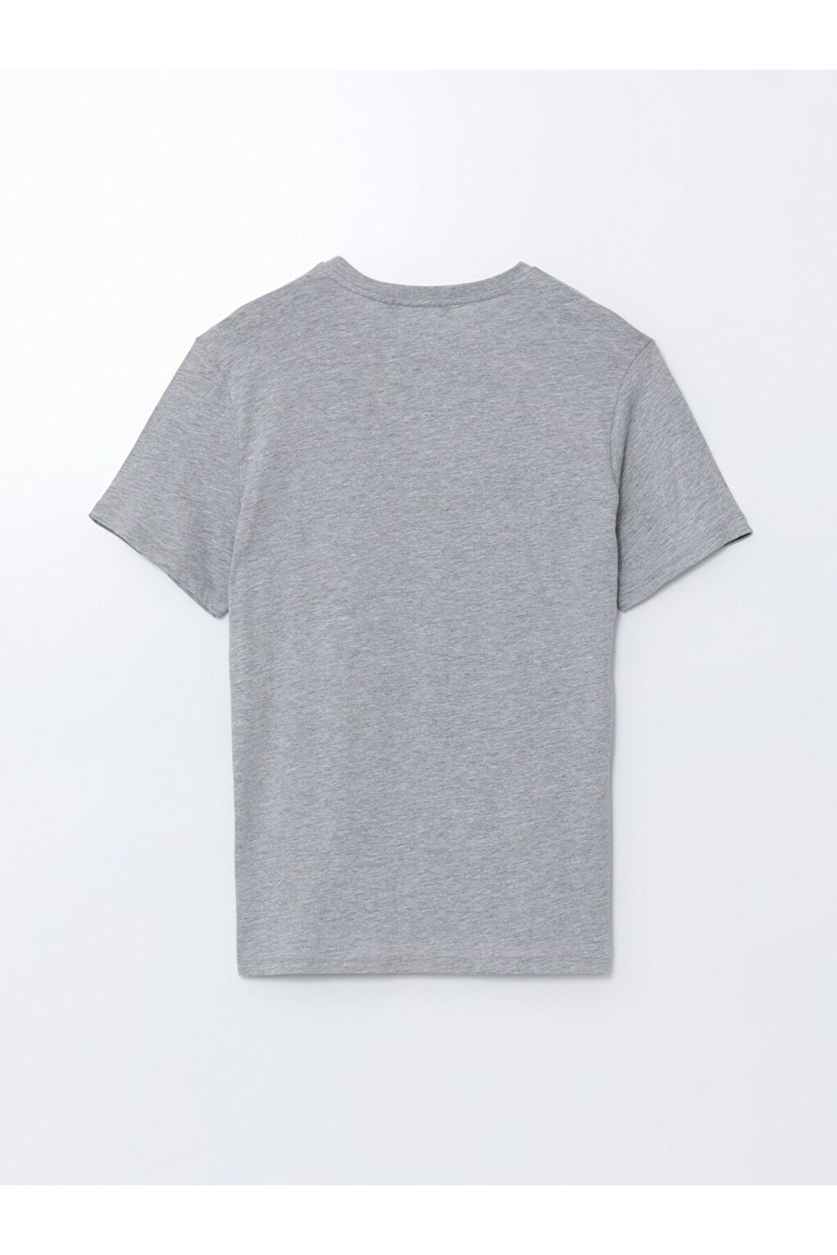 LC Waikiki-Lcw Eco Crew Neck Short Sleeve Printed Men's T-Shirt 2