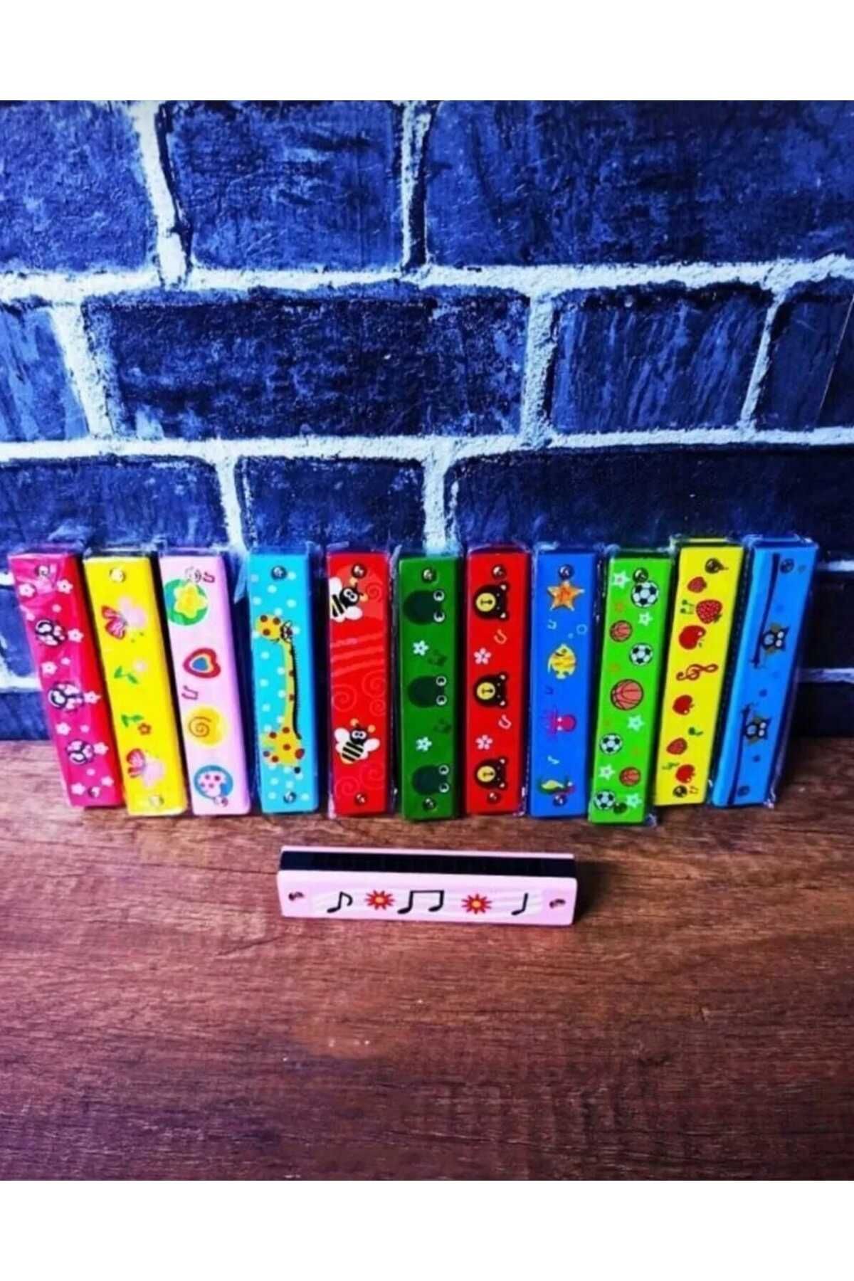 Vi Caro 2 Adet Karışık Renk ve Desenlerde Mızıka Müzik Aleti