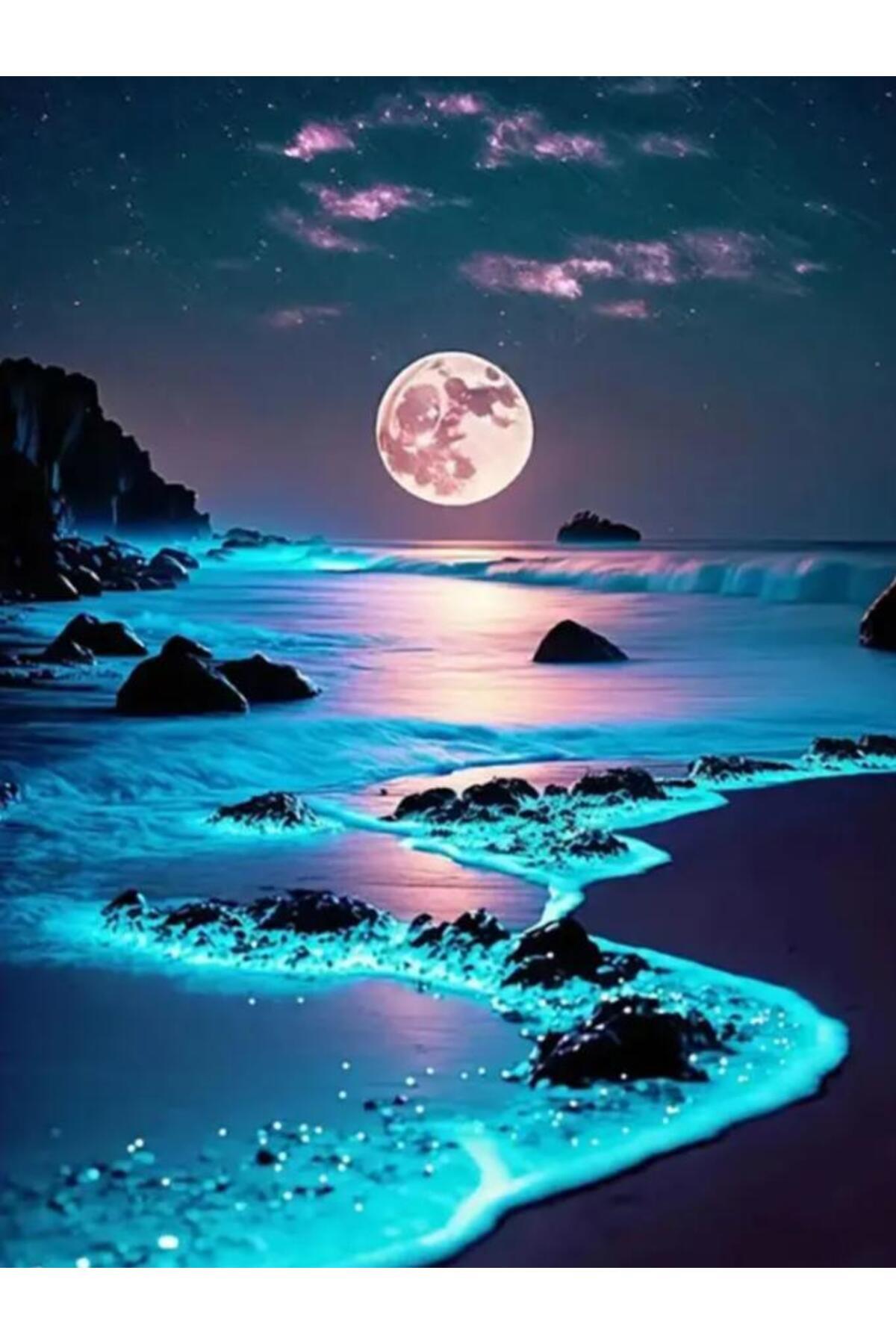 OZN AKSESUAR Hı Stone 5d Elmas Boncuk Taş Işleme Mozaik Goblen Kit 50x40cm gc89252