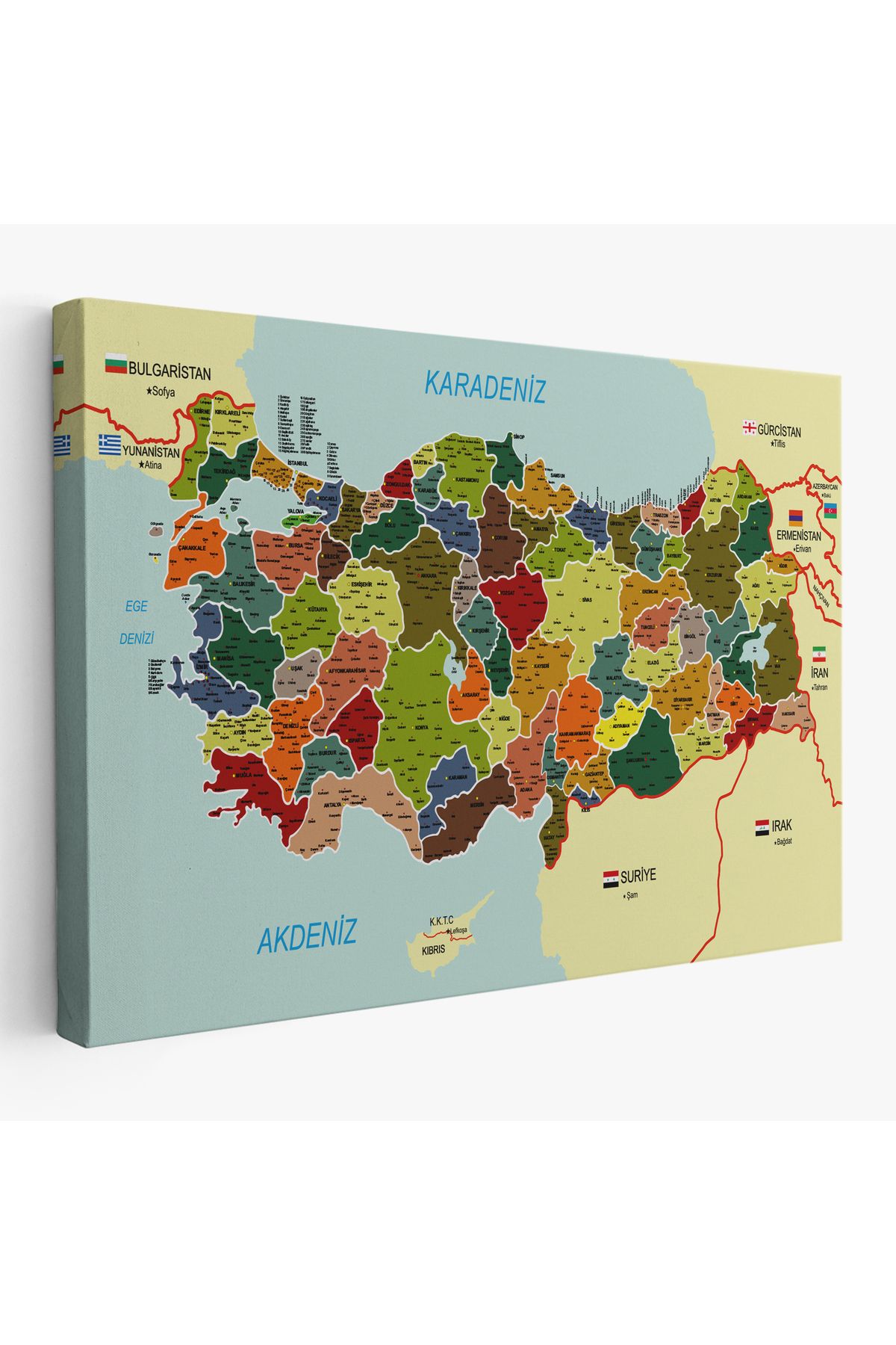 Doğal Bizden DB Türkiye Haritası Kanvas Tablo İl ve İlçeli Ayrıntılı Eğitici Komşulu Tablo 3000