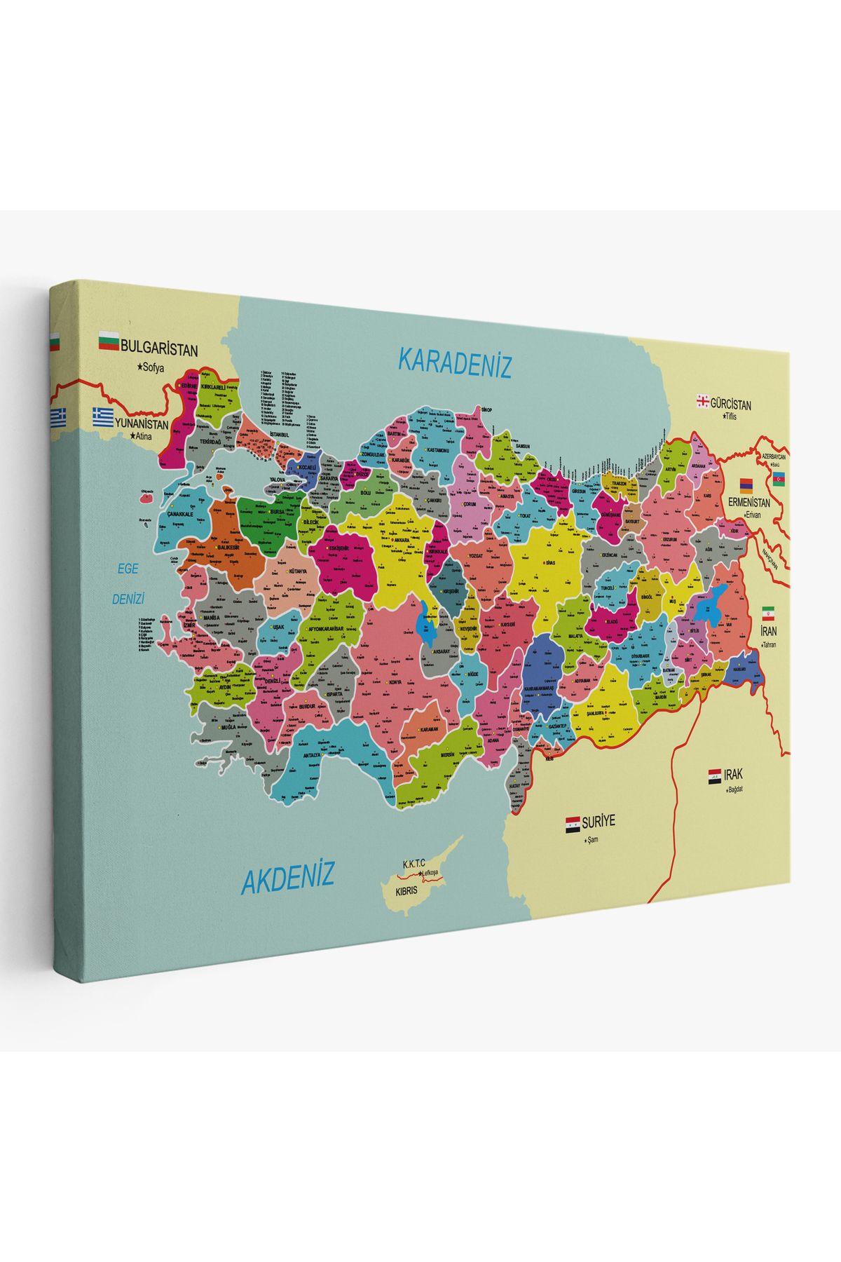 bluvex Türkiye Haritası Kanvas Tablo İl ve İlçeli Ayrıntılı Eğitici Komşulu Tablo 2996