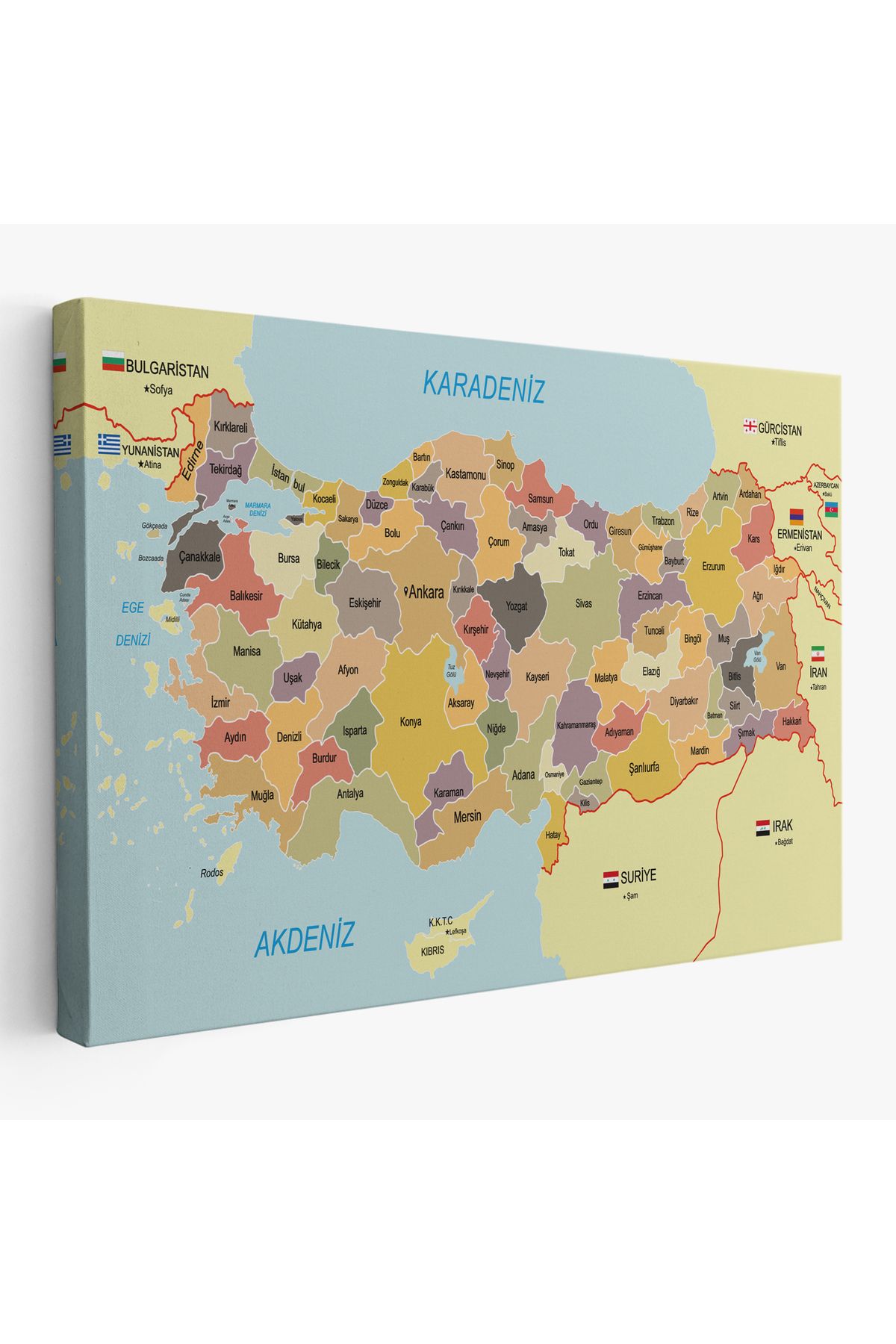 Yarımada Bahçe YB Türkiye Haritası Kanvas Tablo Sınır Komşulu Eğitici Dekoratif Tablo 3098