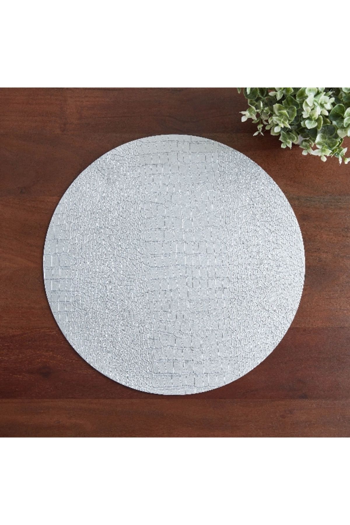 Home Box-Round PVC Placemat - 38 cm 2