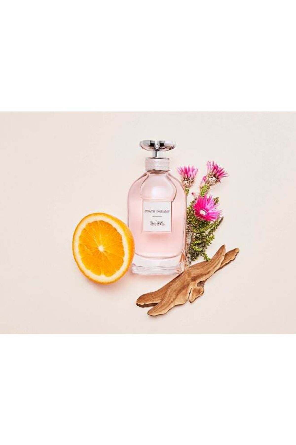 Coach-New York Coach Dreams Live Yours EDP 90 Ml, Stick 7.5 Ml, Body Lotion 100ml 5