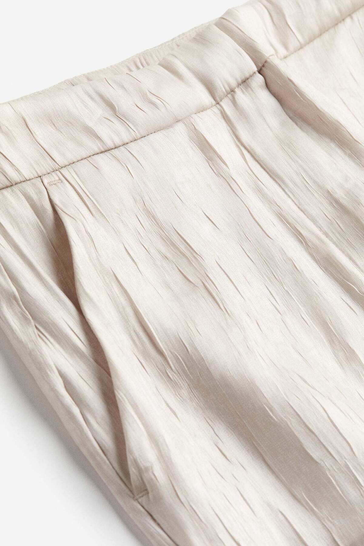 H&M-Sheer trousers 2