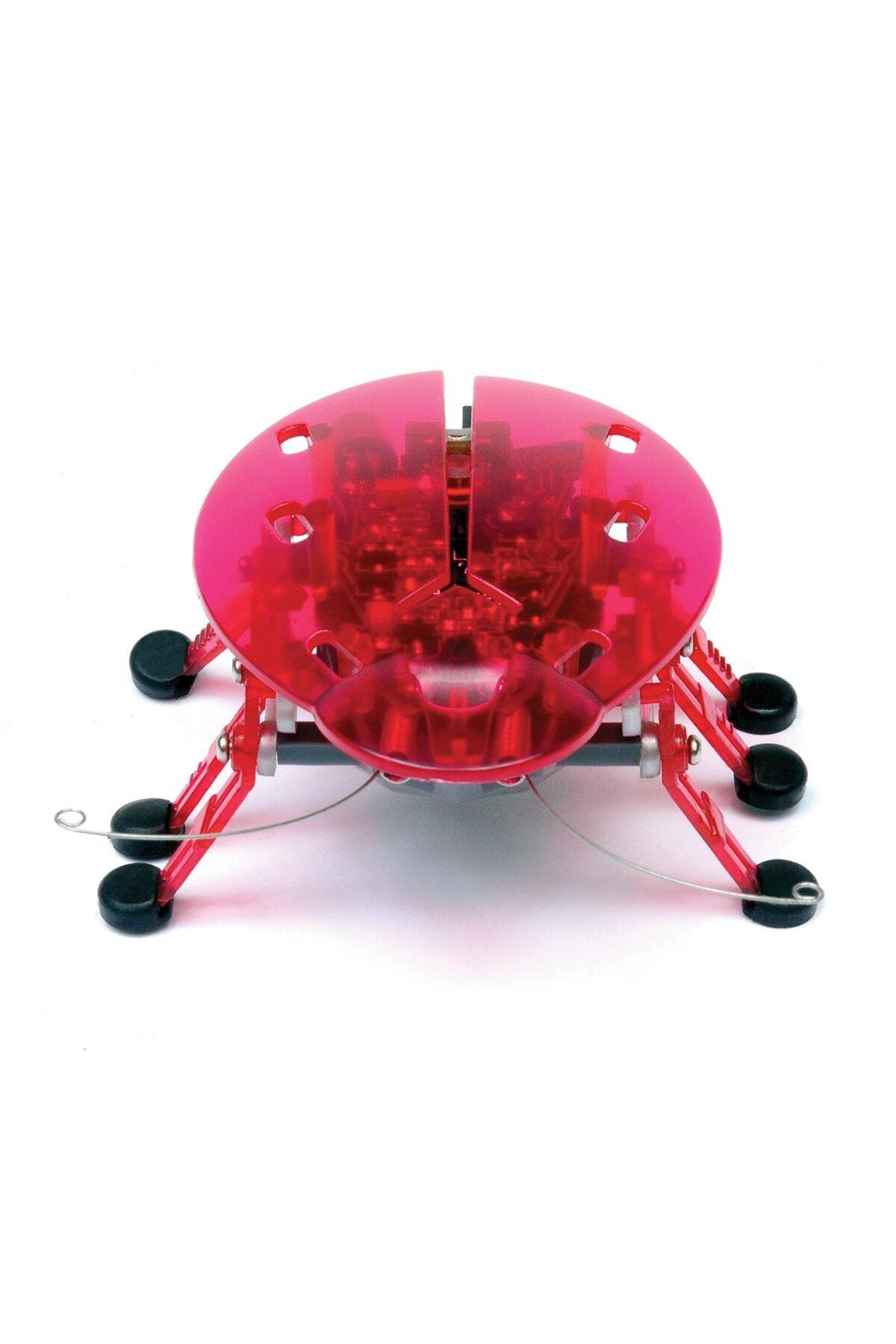 misan-Hexbug Micro Robot - Insect Design 2