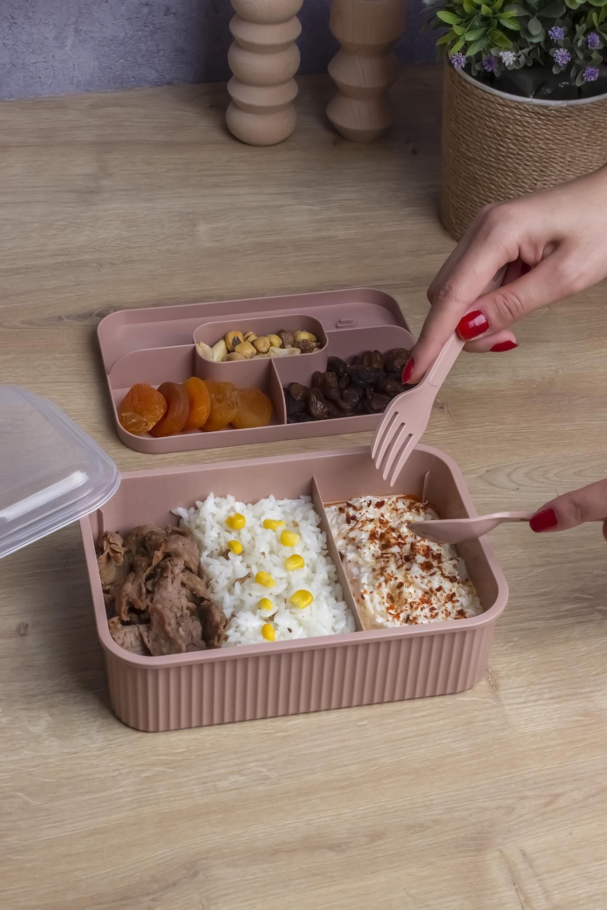 Okyanus Home-Powder Striped Lunch Box 5 Compartments Lunch Box with Fork and Spoon Transparent Lid 2
