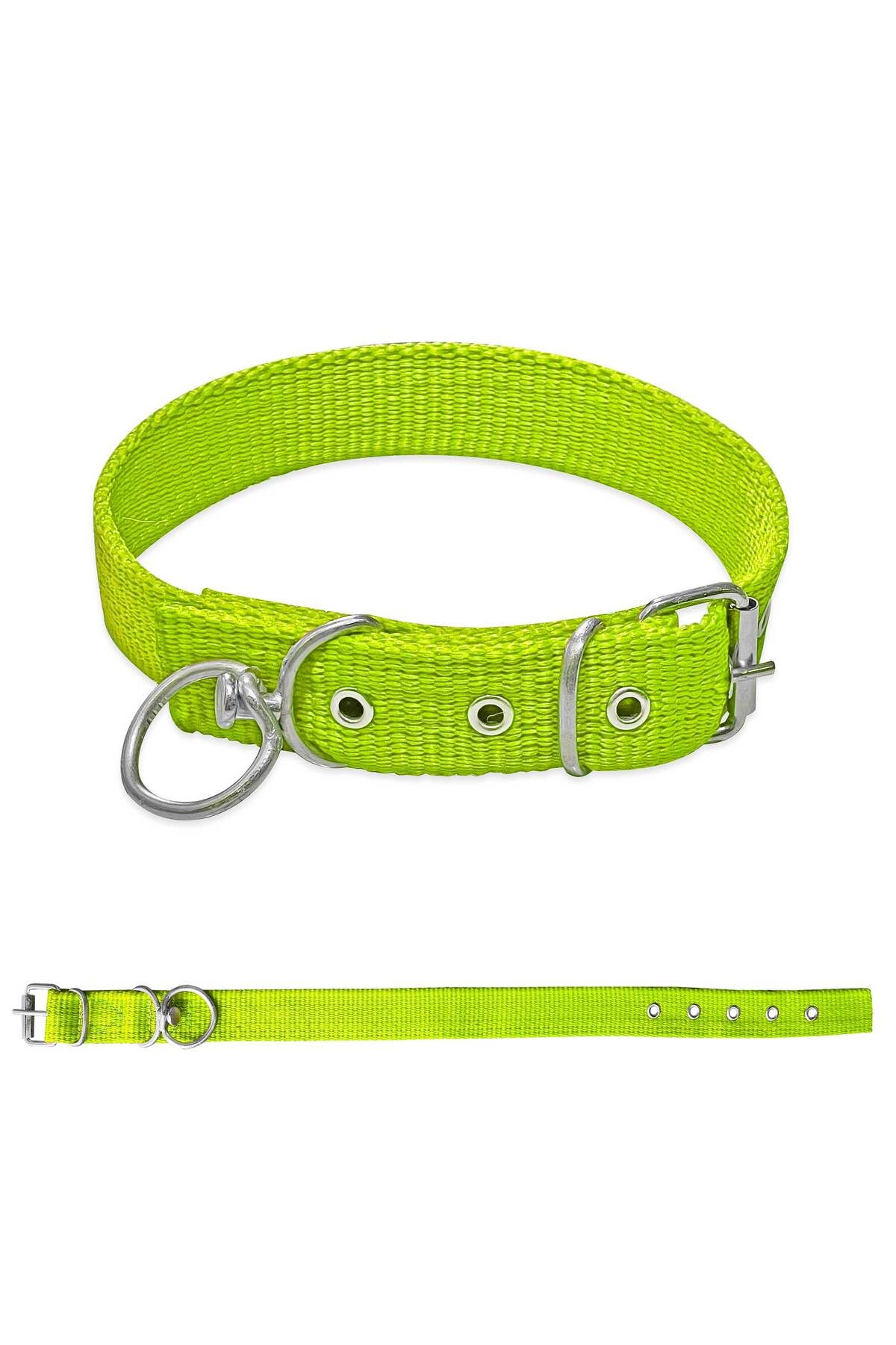 SAVEX Dokuma Köpek Boyun Tasması Yeşil 3*60 cm