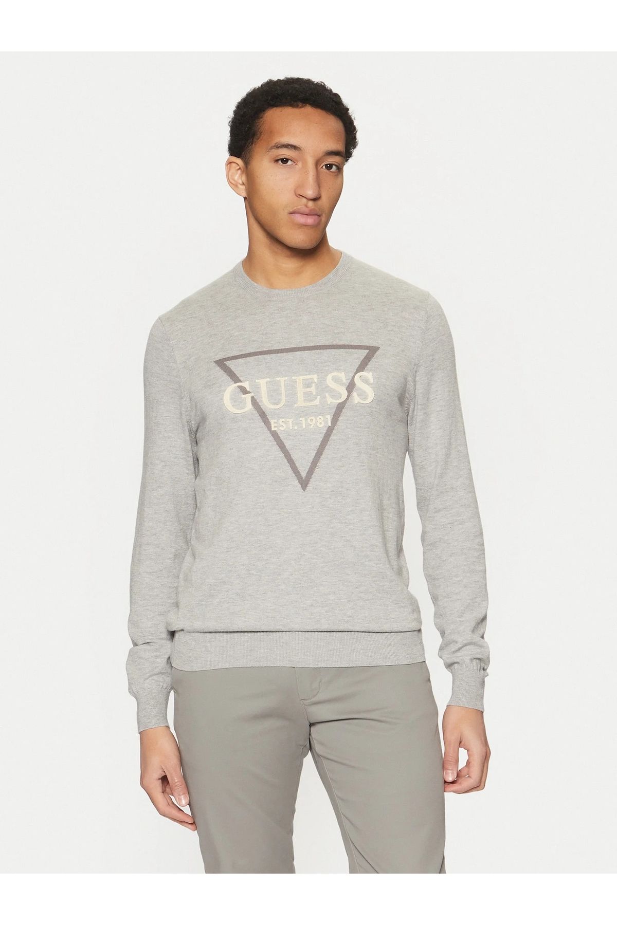 Guess-شعار FABIAN VN SWTR 1