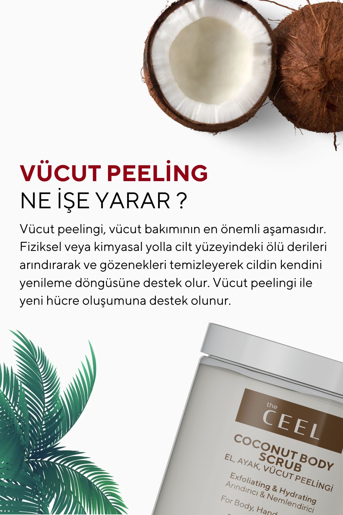 اسکراب بدن عصاره نارگیل مرطوب کننده تغذیه تسکین دهنده و تصفیه لایه برداری از 275 گرم The Ceel