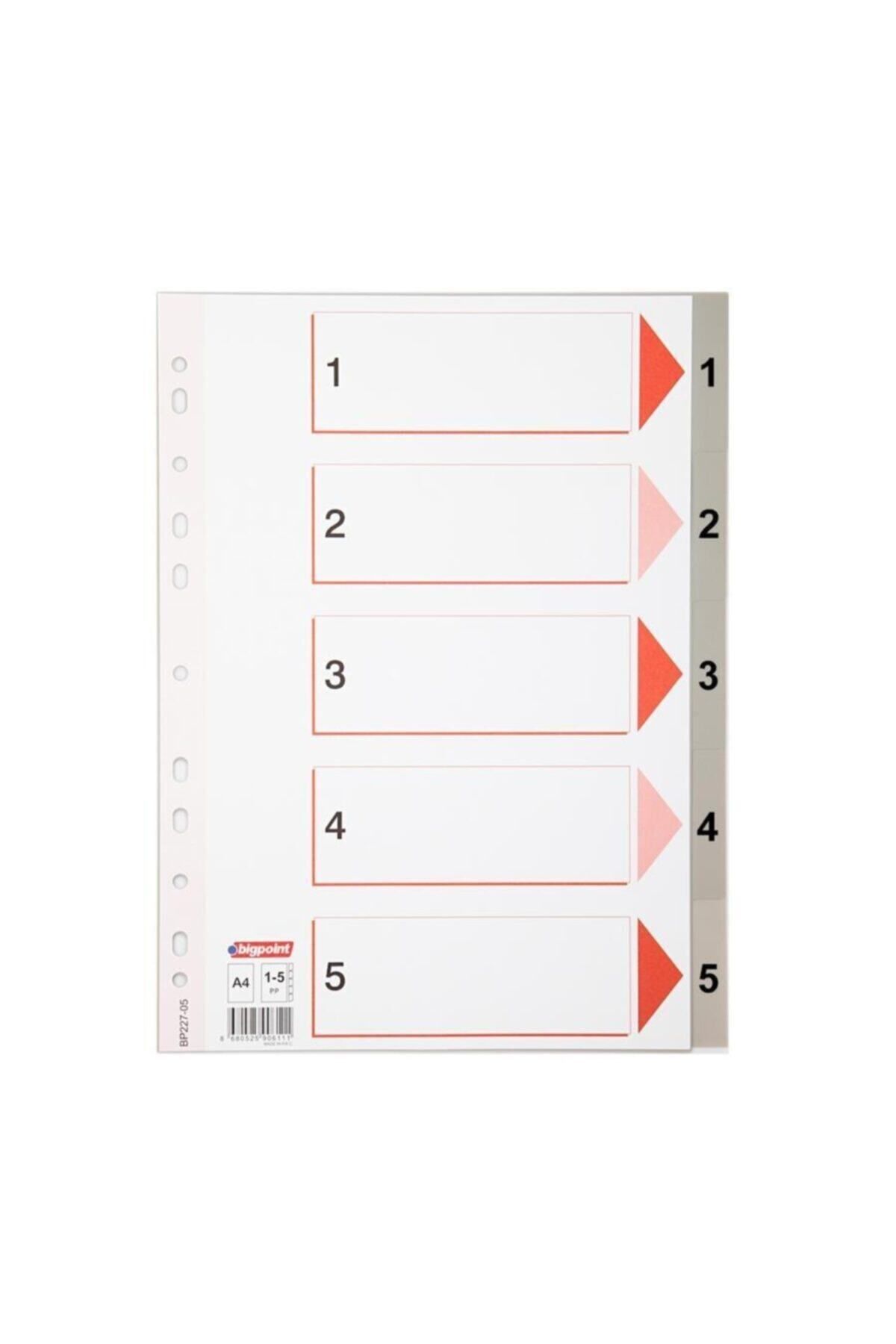 Bigpoint-Bp227-05 Model 1-5 Number Separator 2