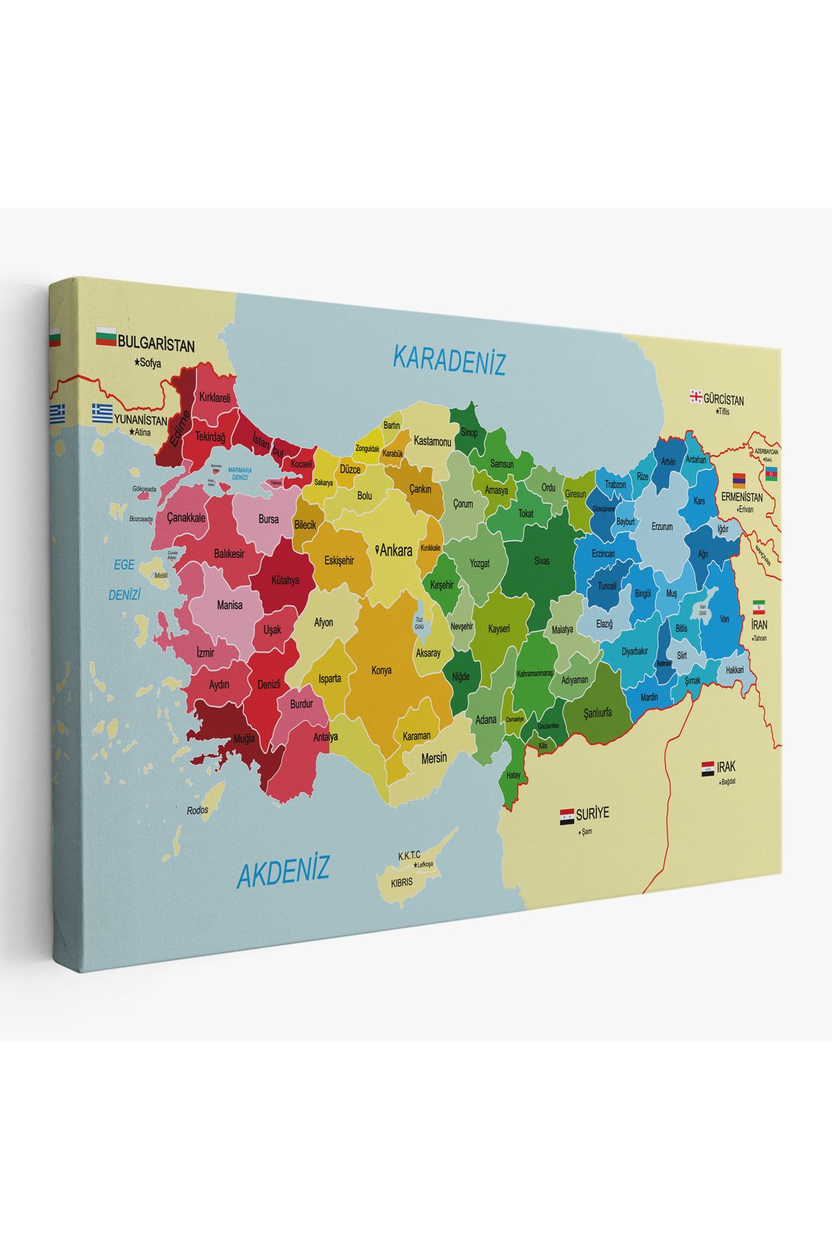 Yarımada Bahçe YB Türkiye Haritası Kanvas Tablo Sınır Komşulu Eğitici Dekoratif Tablo 3105