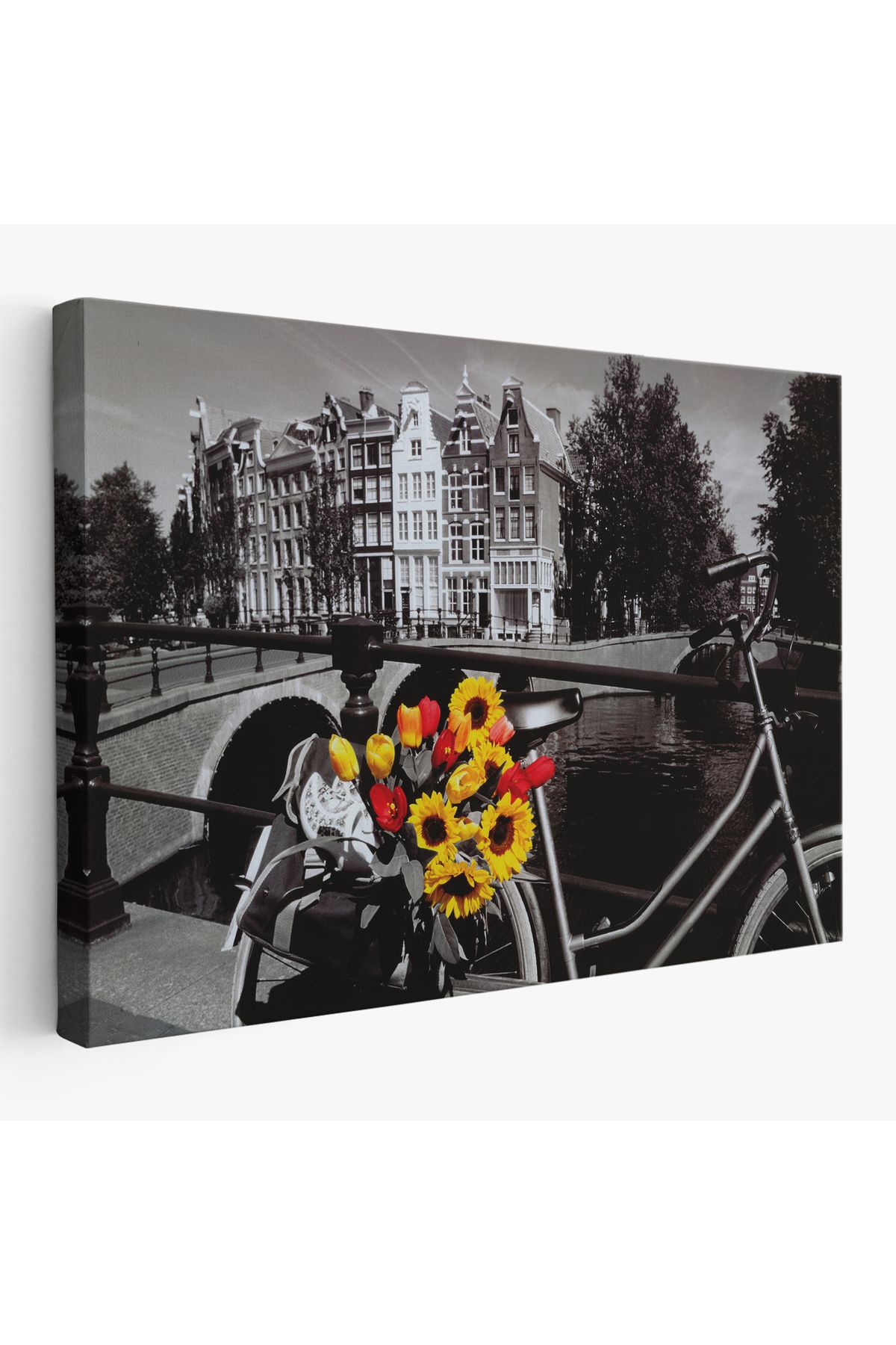 Yarımada Bahçe YB Amsterdam Kanallarındaki Bisiklet ve Laleler Tablosu-6594