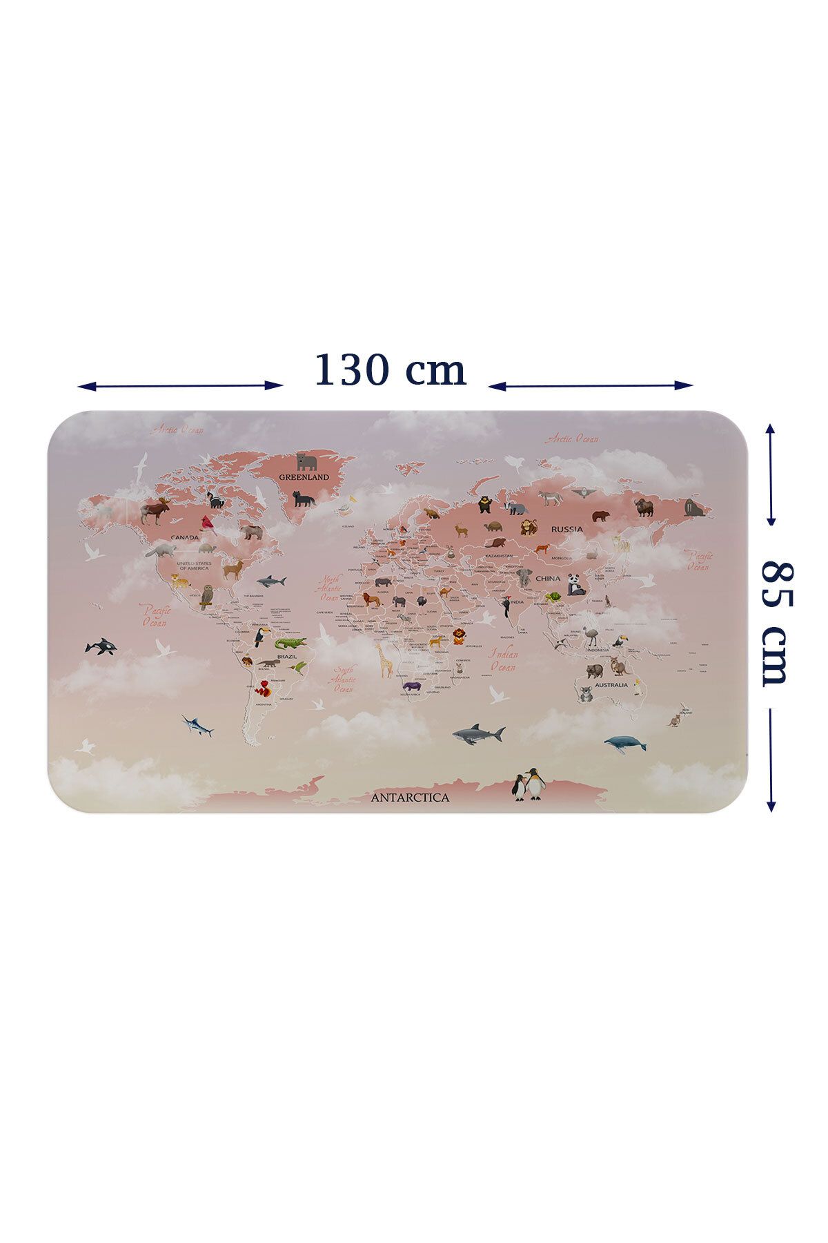 Haye Collection Eğitici Dünya Haritası Dünya Atlası Çocuk ve Bebek Odası Duvar Sticker-85x130-3799