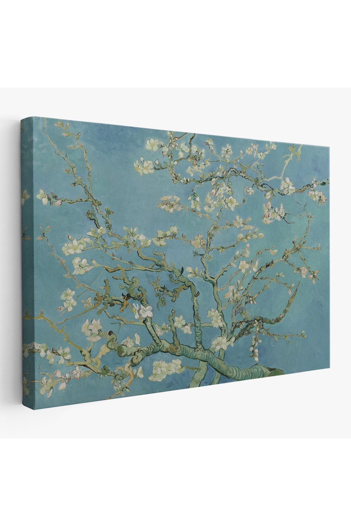 bluvex Vincent Van Gogh-Blossoming Badem Ağacı Eseri / Blossoming Almond Tree (1890)-5164