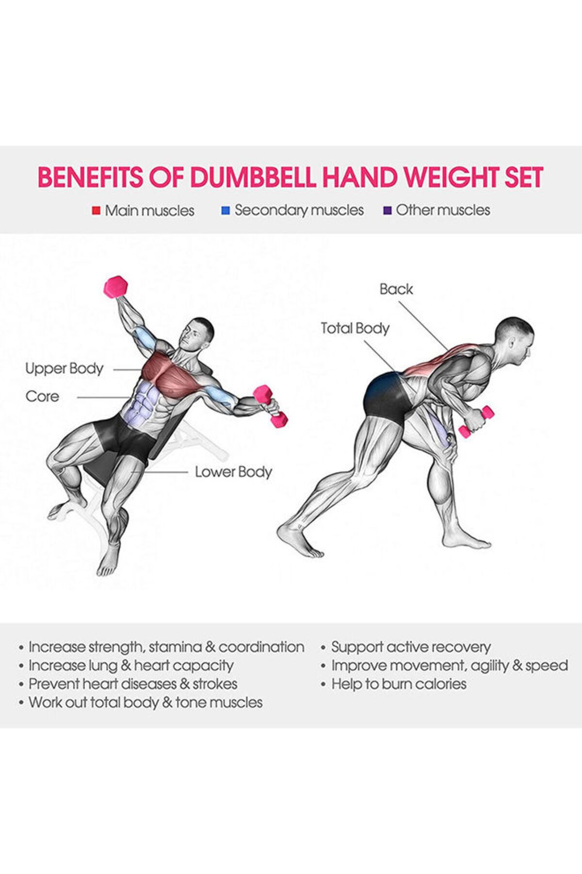 Fitness World-طقم دمبل 6 كجم متعدد الألوان من فتنس وورلد 4
