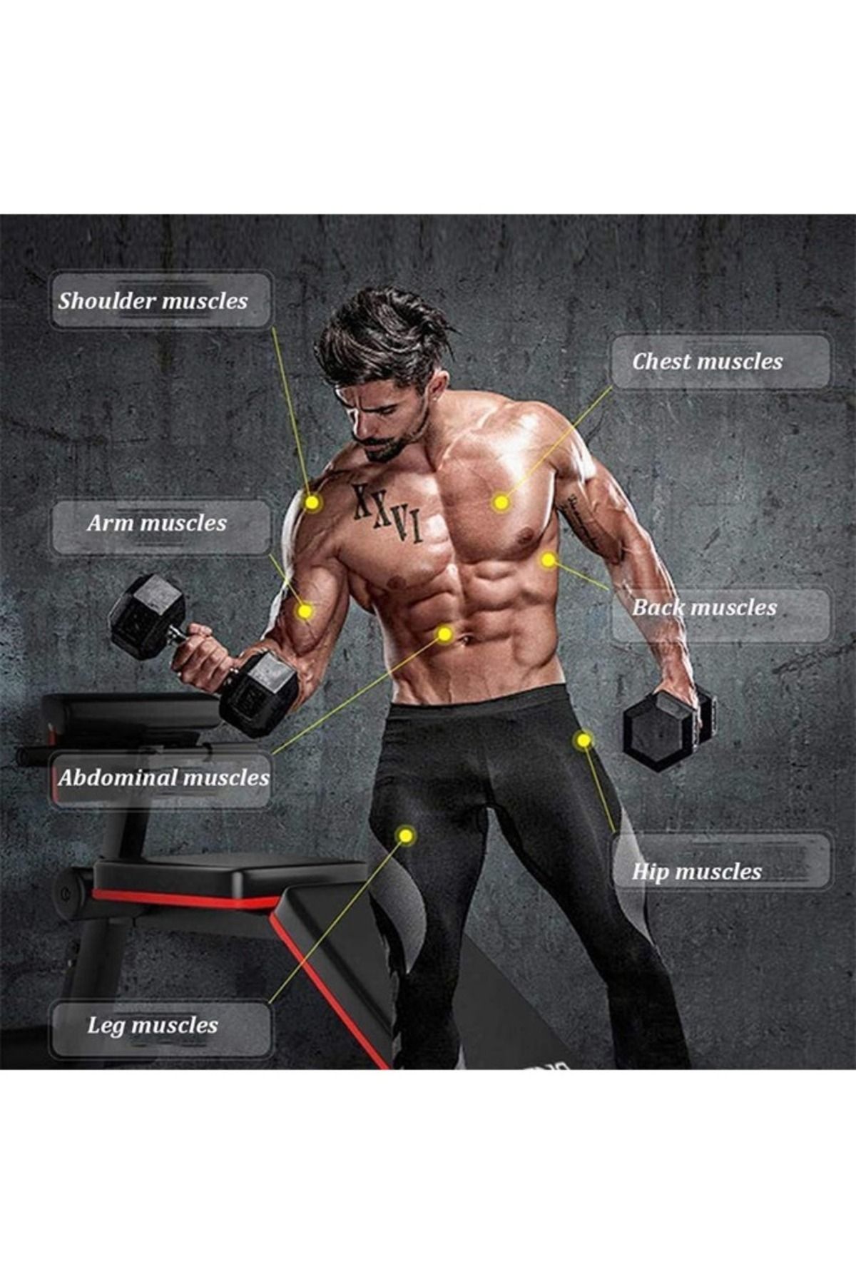 Fitness World-مقعد رفع الأثقال القابل للتعديل، مقعد صالة الألعاب الرياضية المنزلية مع مقعد تدريب متعدد الوظائف مع الدمبل 6