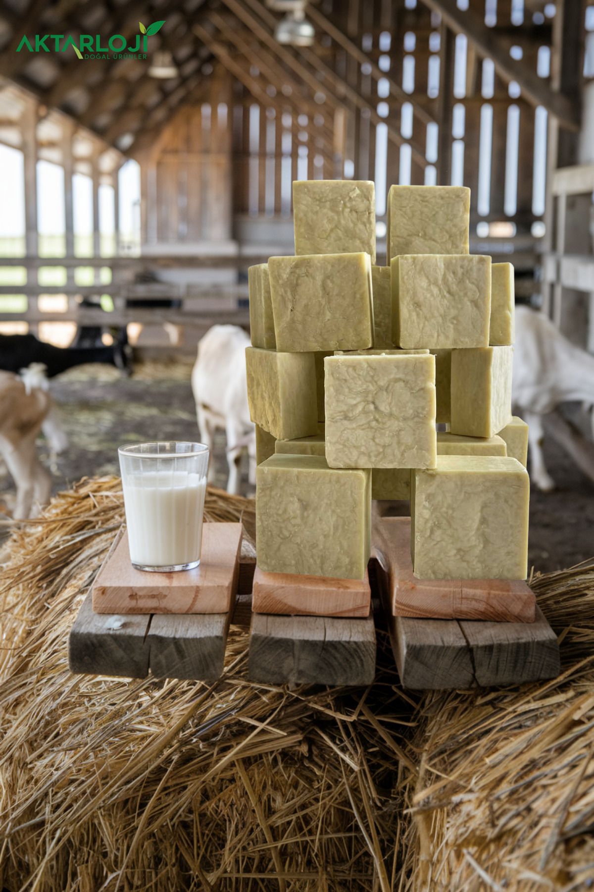 aktarloji-5 Kg Goat Milk Soap 100% Natural Handmade 1