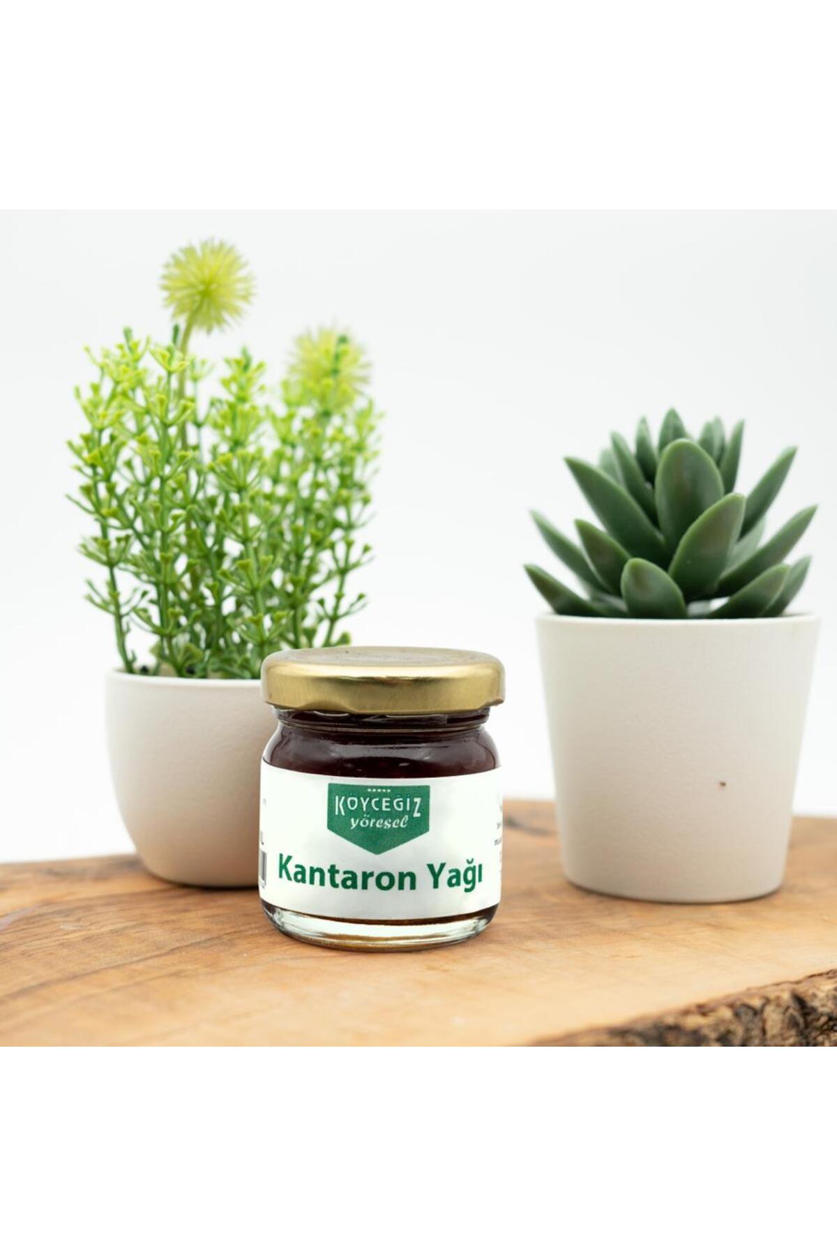 Kantaron Yağı 33 ML — 002810