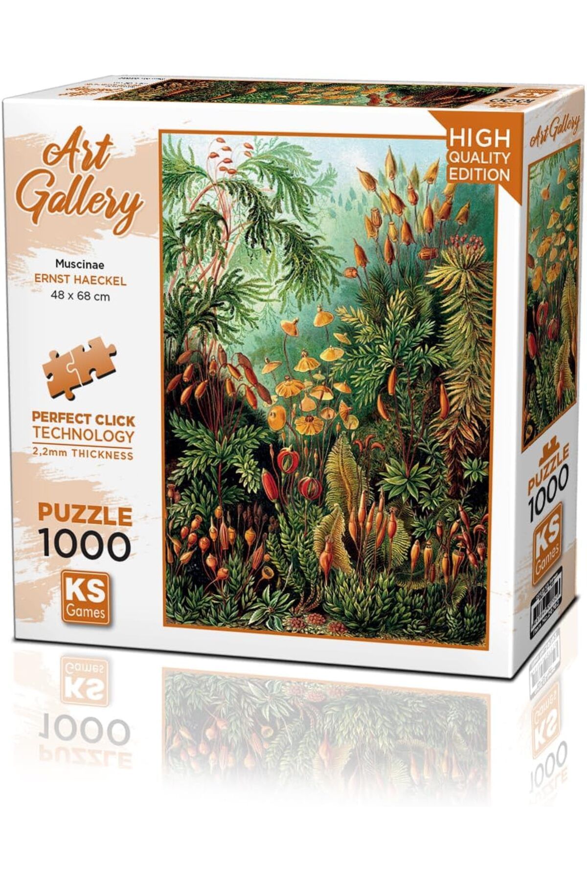 STOREMAX gelalpzr Games 1000 Parça Muscinae Puzzle aynet 1109110