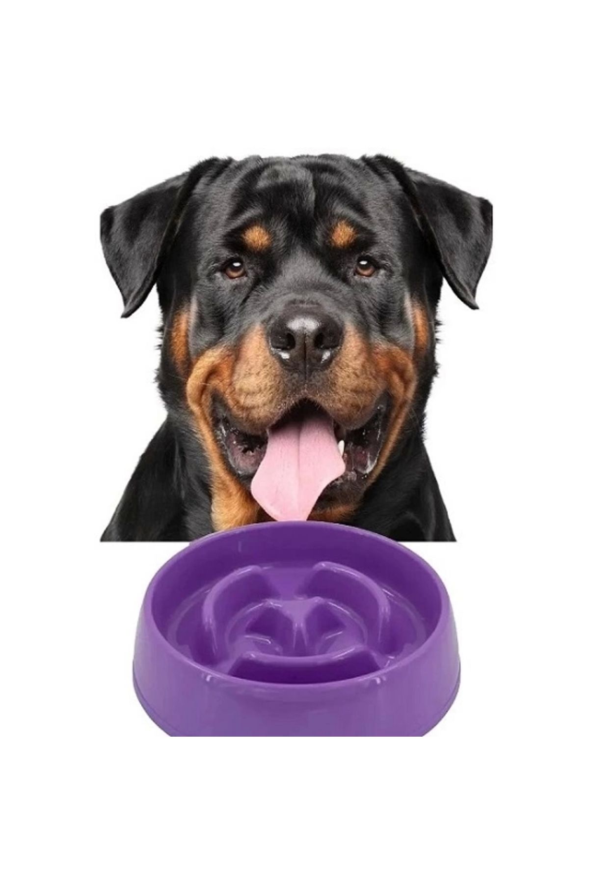 Yenimiyeni-775 ml Slow Food Cat Dog Food Container 3