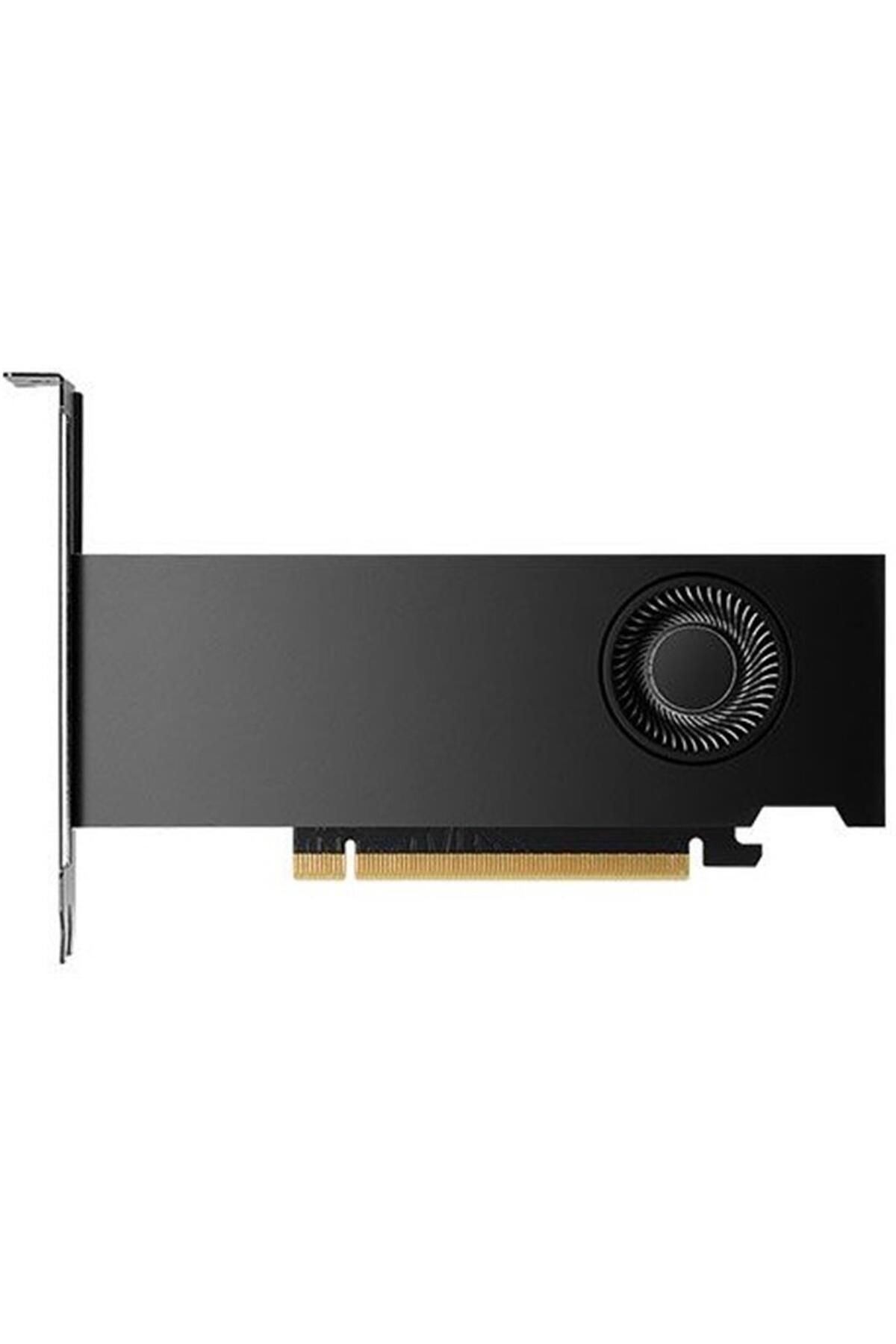 PNY-Quadro Rtx A2000 Ada Generation Lowprofile16Gb Gddr6 128 Bit Vcnrtx2000Ada-Sb Graphics Card 2