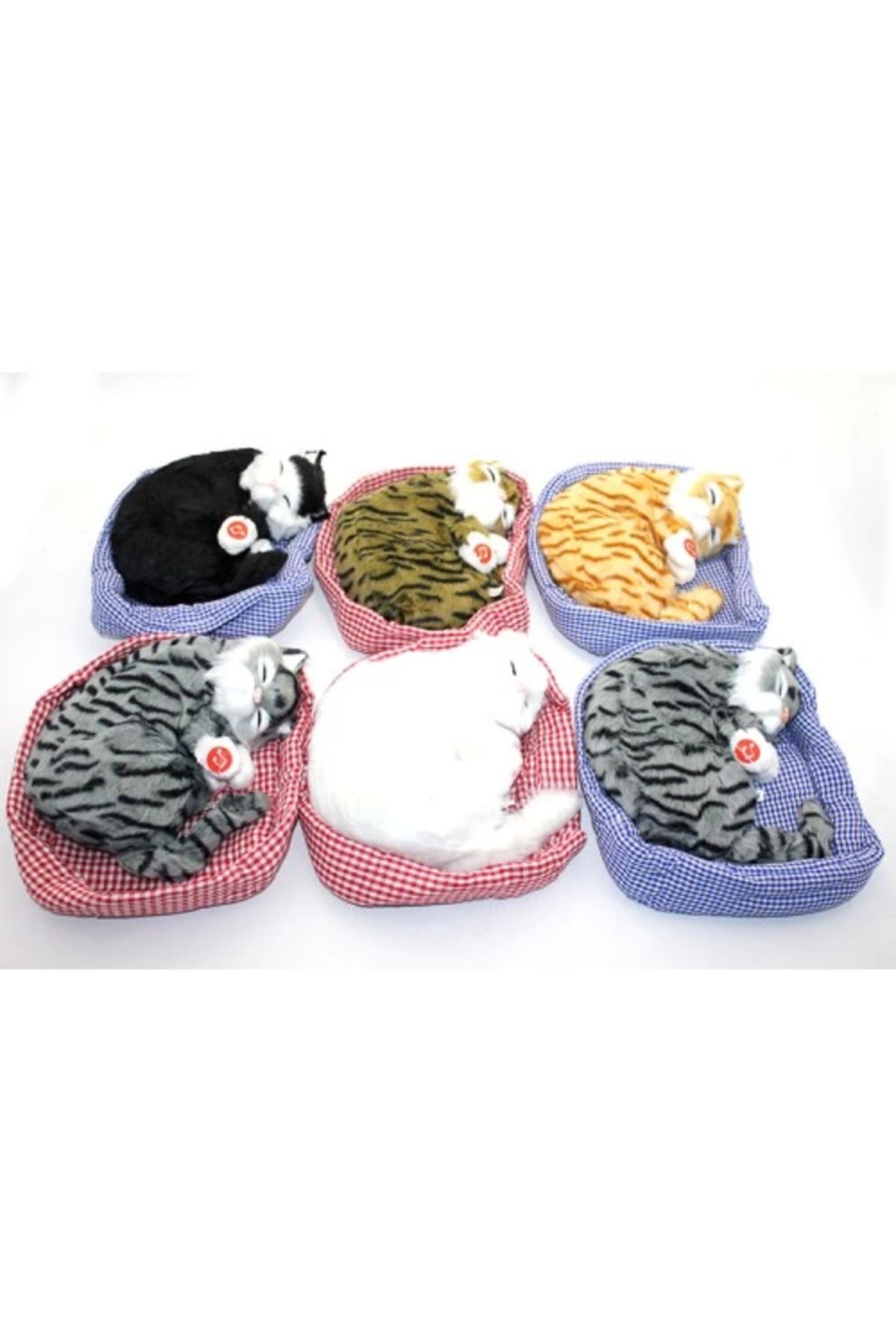 Butik Horlayan Yastıkta Uyuyan Kedi Sesli