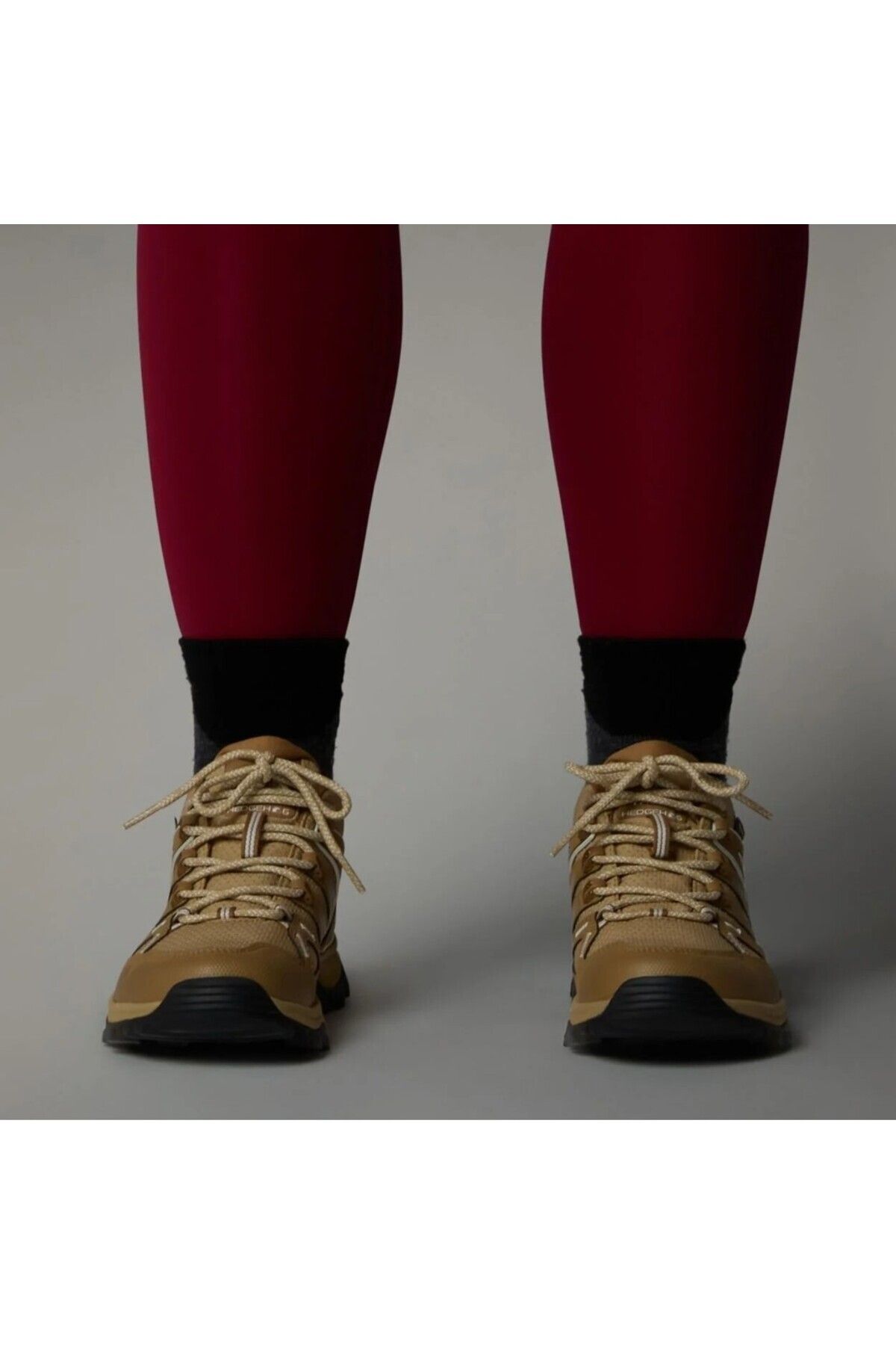 کفش زنانه Hedgehog Goretex از برند نورث فیس   The North Face