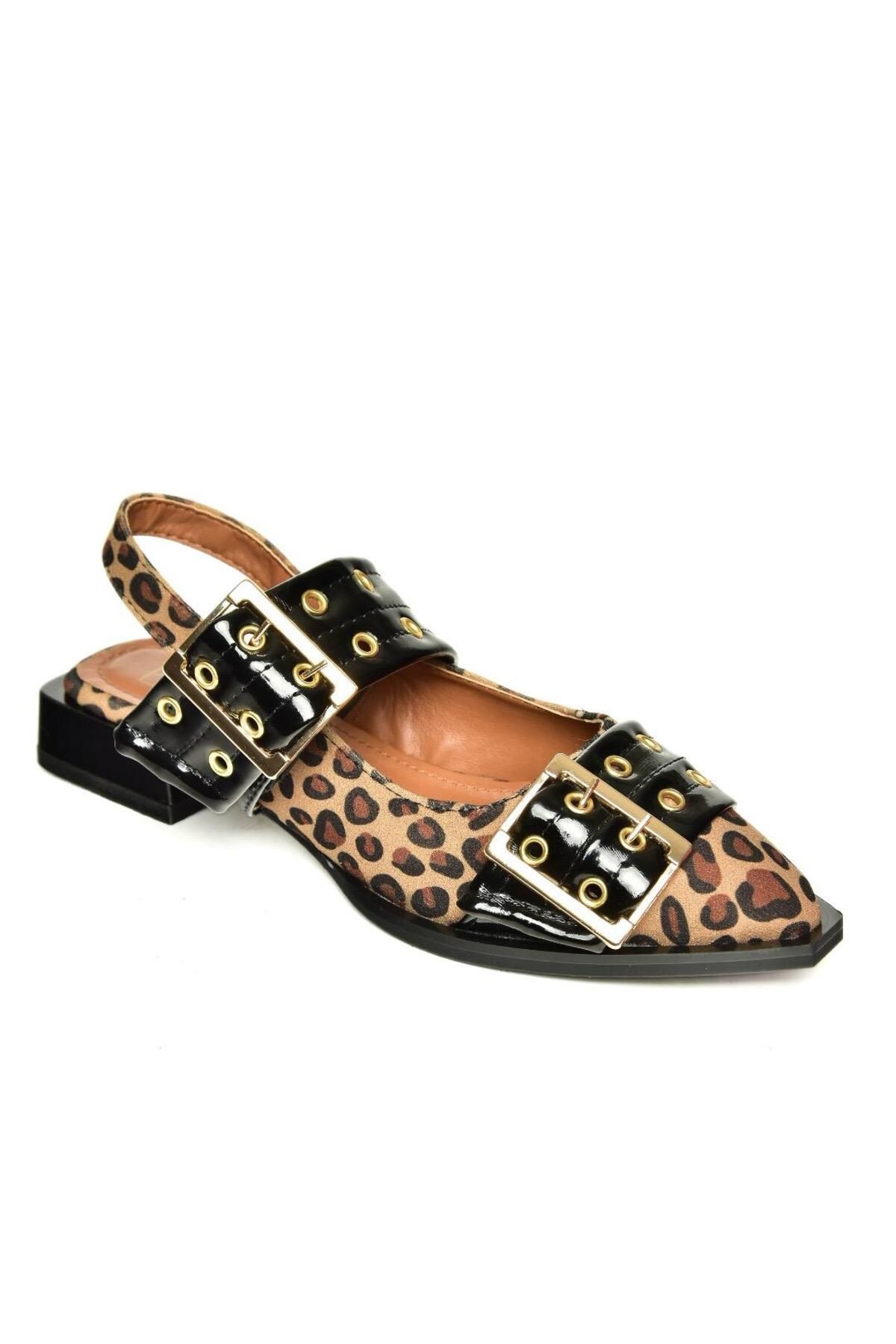 Fox Shoes-U 518600102   Leopard Low Heeled Women's Shoes 6