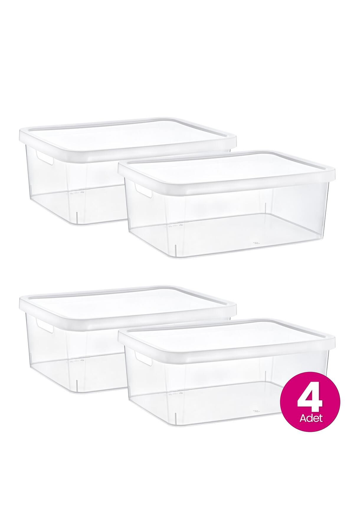 Smartware-Transparent Stafi Box Set of 4 with Lid - 12 Lt 6