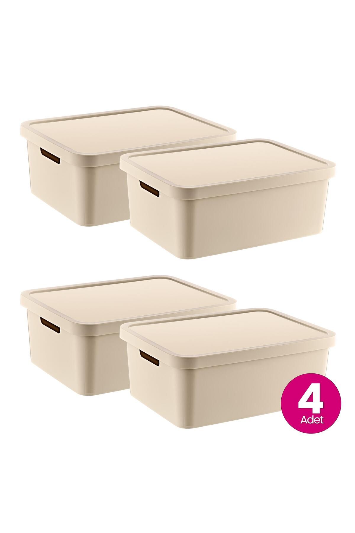 Smartware-Latte 12 Lt - Set of 4 Stafi Multi-Purpose Box with Lid 6