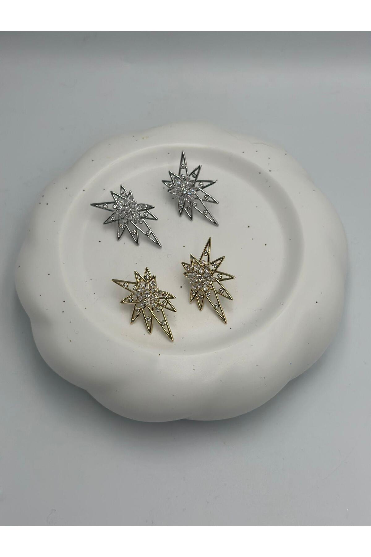Zircon Stone Detail Pole Star Earrings Silver