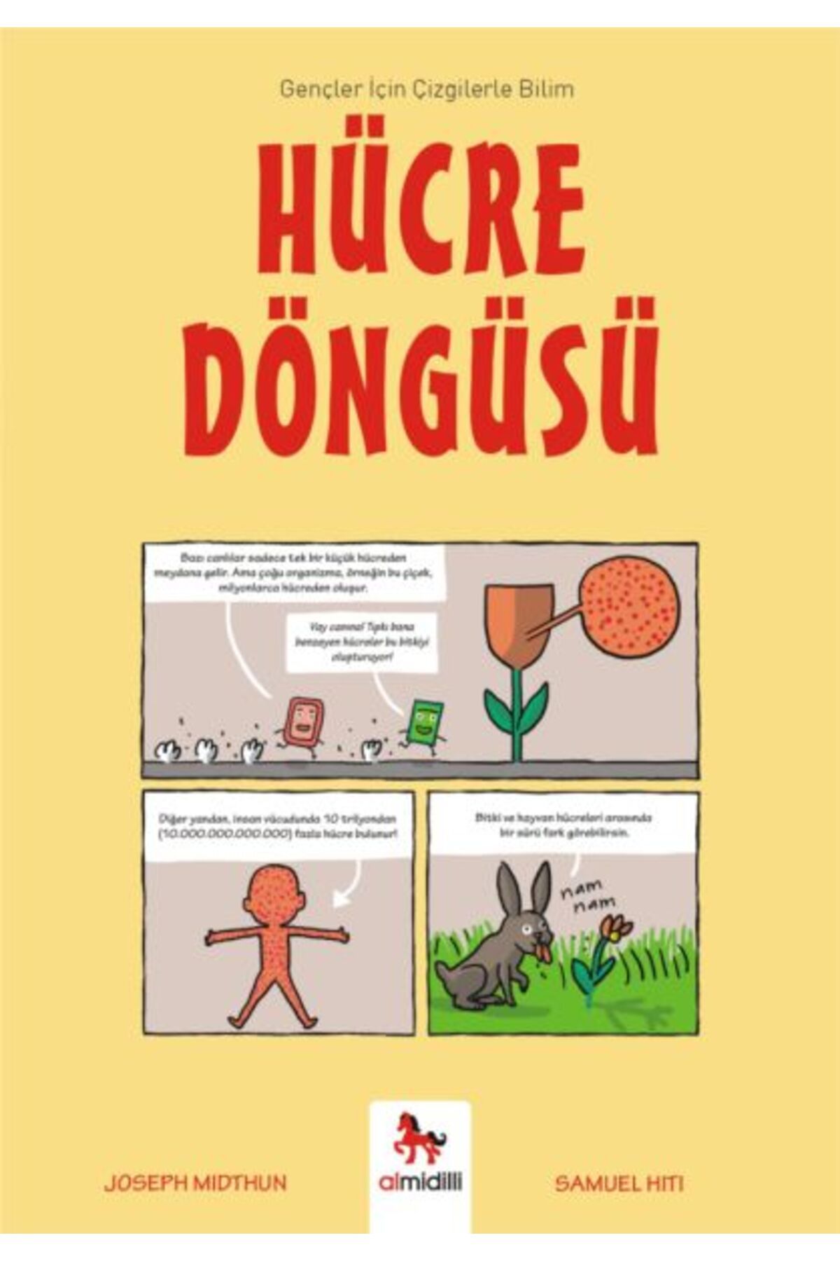 Destek Yayınları Hücre Döngüsü - Gençler İçin Çizgilerle Bilim