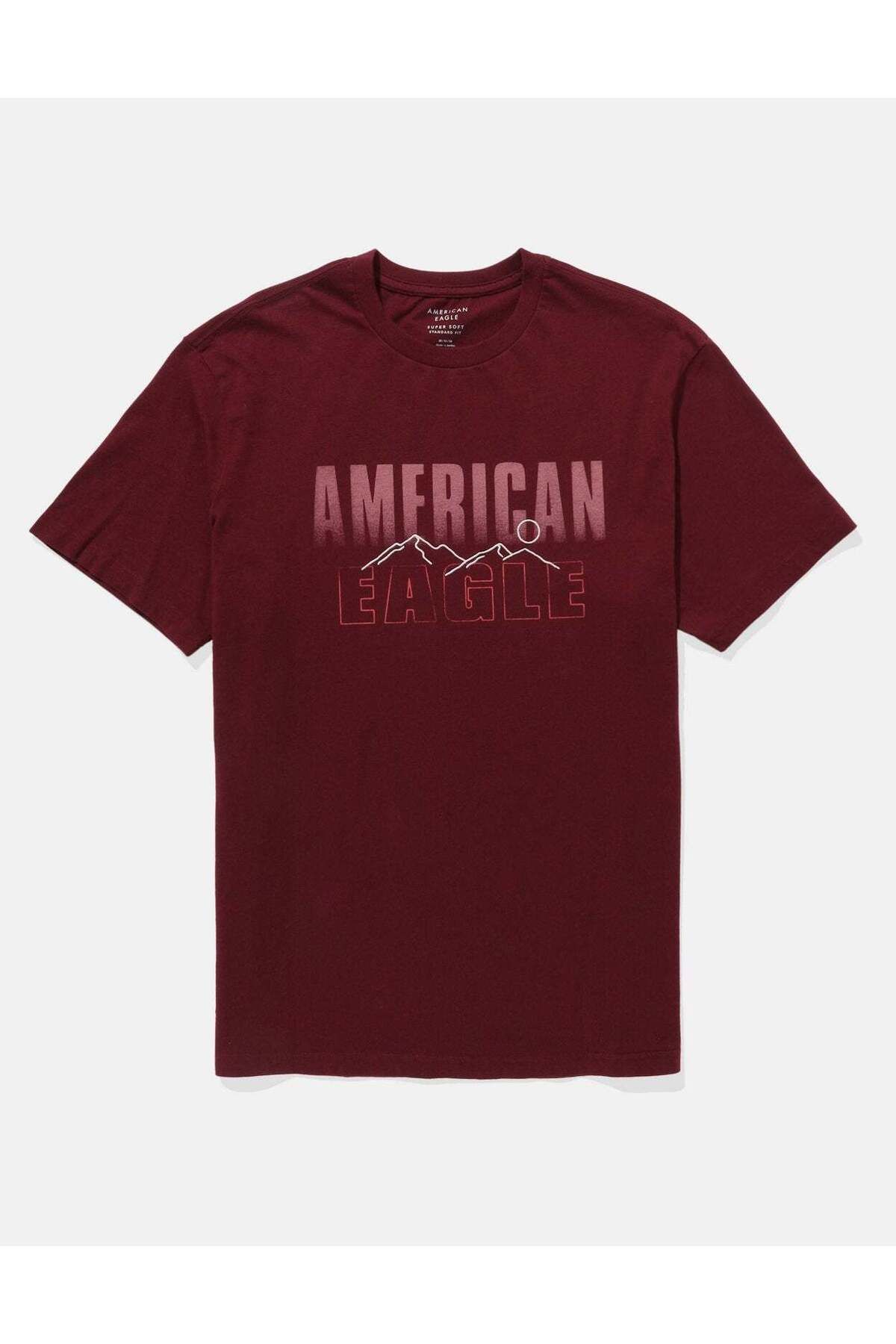 AMERICAN EAGLE-AE Embroidered Graphic T-Shirt 3