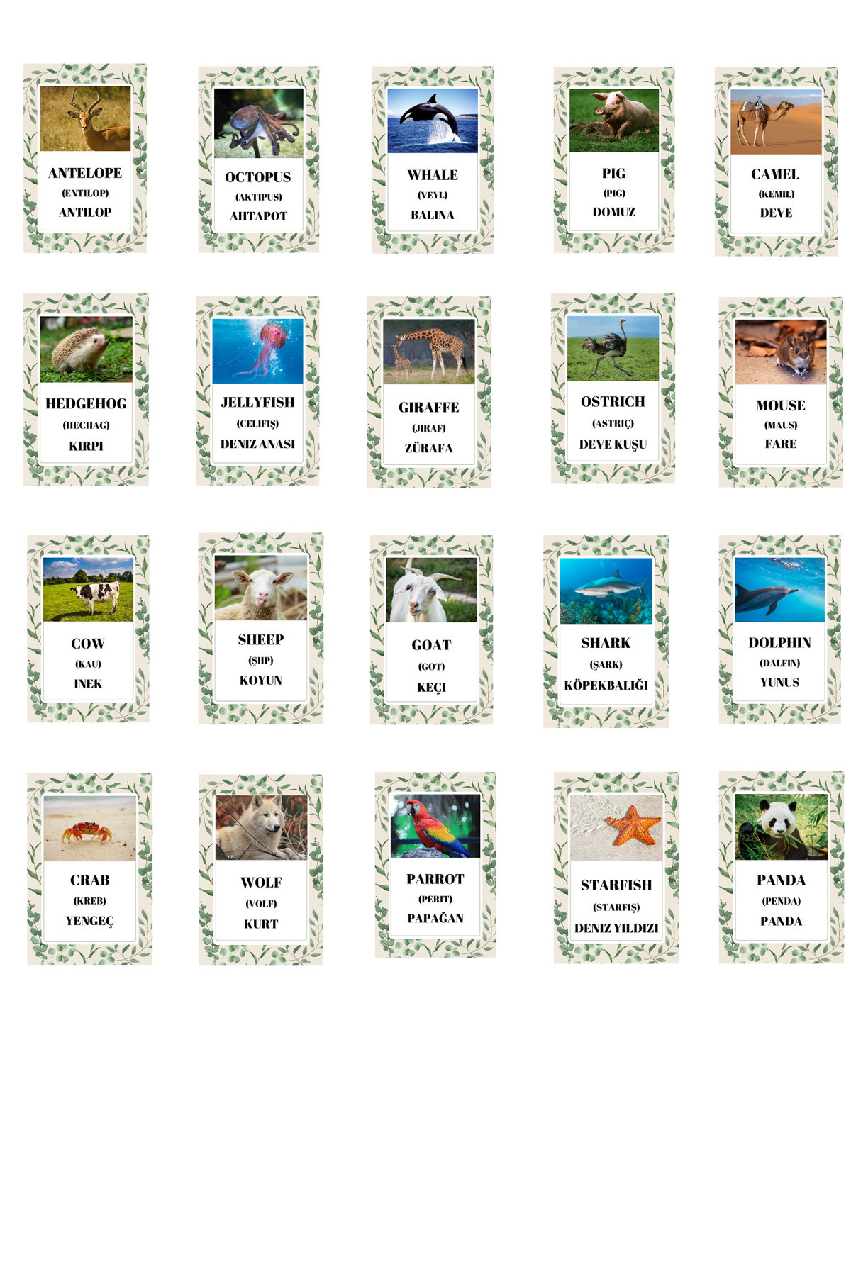 Baby İngilizce Hayvanlar Eğitim Seti Flash Kartları fotoğrafı 2 (önizleme)