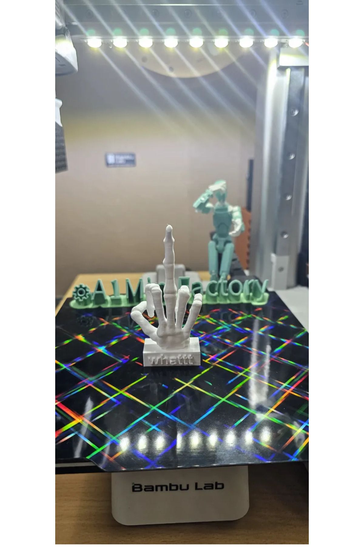Formista3d-Skeleton Middle Finger Point 5