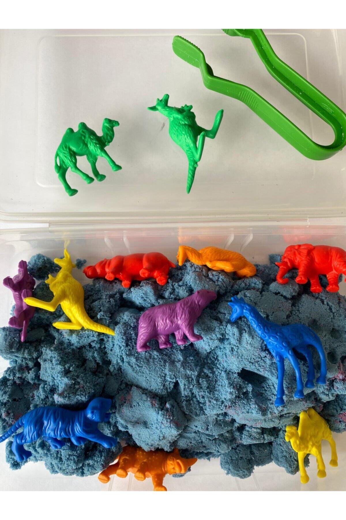 EDX Vahşi Hayvanlar Aktivite Kutusu Montessori Materyali fotoğrafı 6 (önizleme)